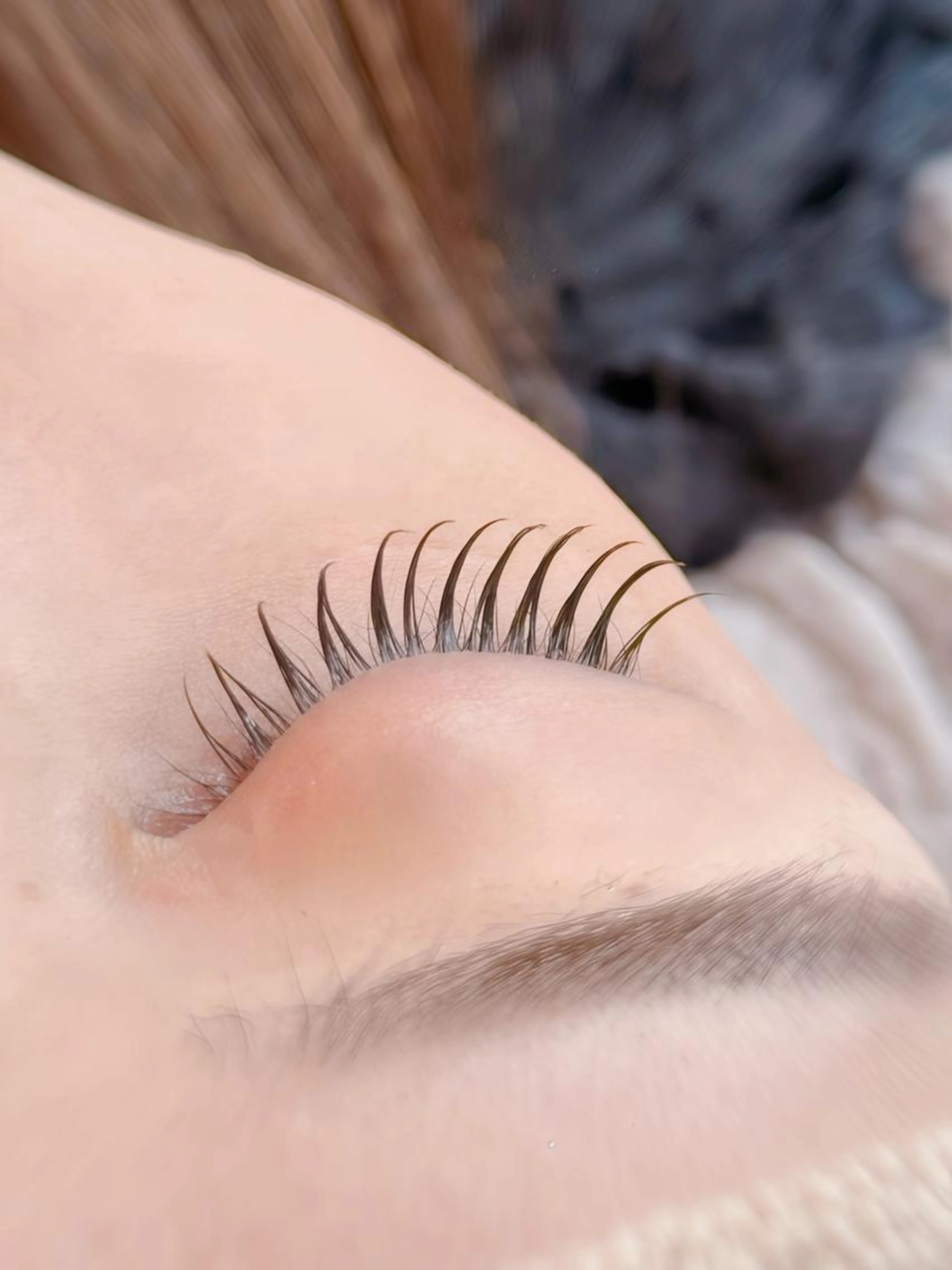 🎀韓国風✨束感まつ毛パーマ✨カールver.🎀の写真