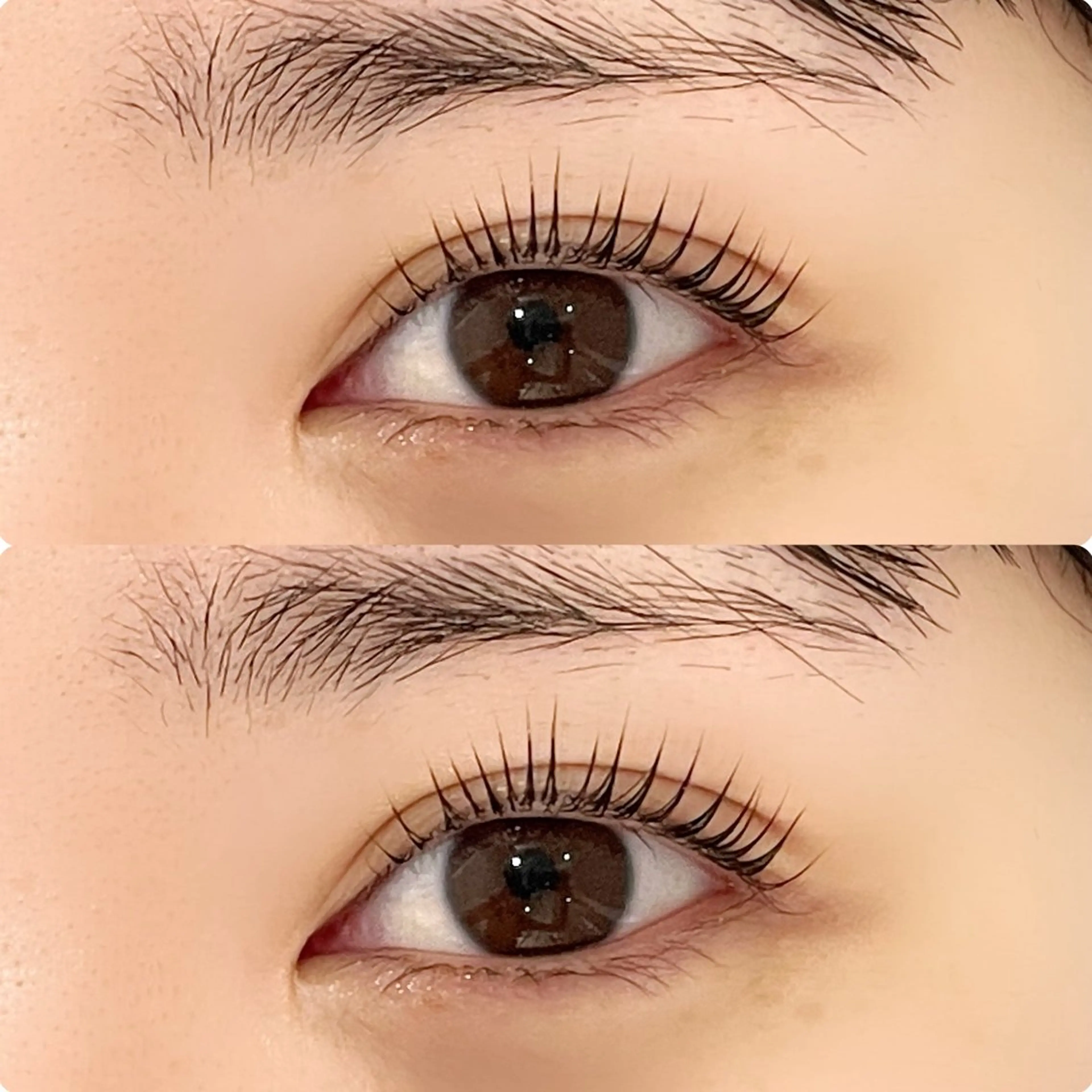 マツエク・マツパ アイブロウ Lua eye beauty所属・森川 茉南の眉毛・アイブロウイメージ