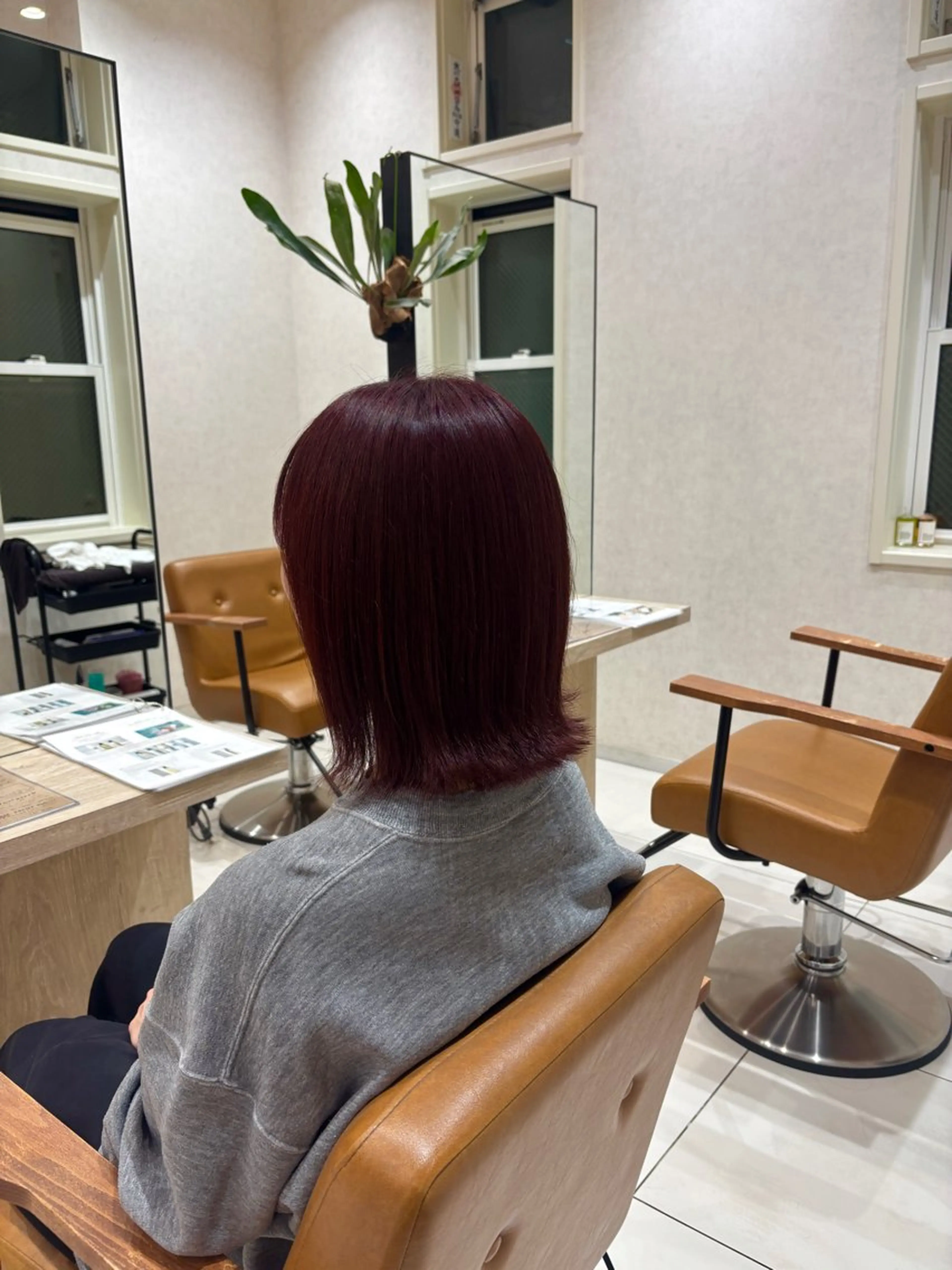 冬に向けてのワンカラー+4Step treatment+温感シャンプー❄️🫧※木曜日、土曜日不可の写真