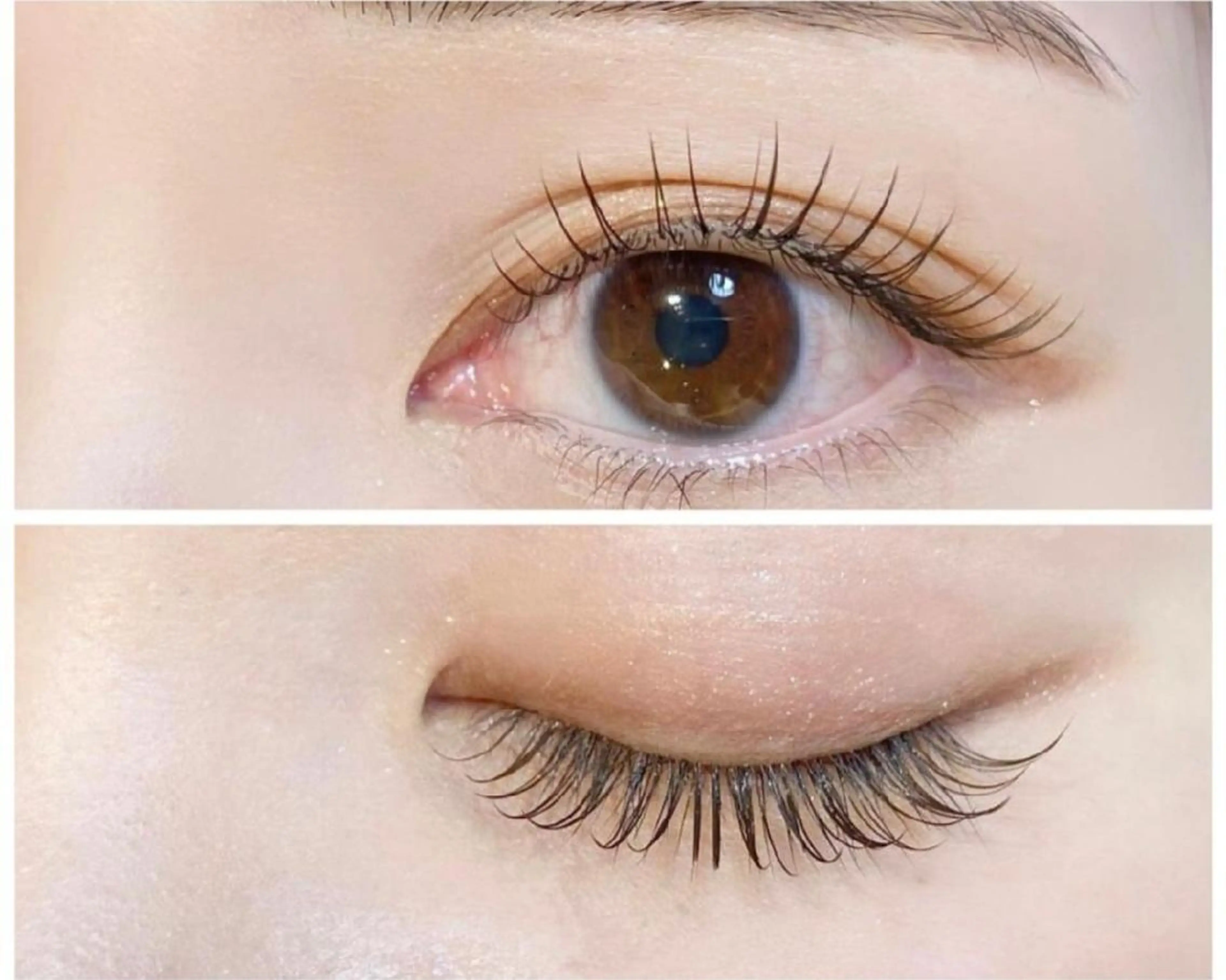 12月22日空きあり　人気ナンバーワン　フラットラッシュ　100 本の写真