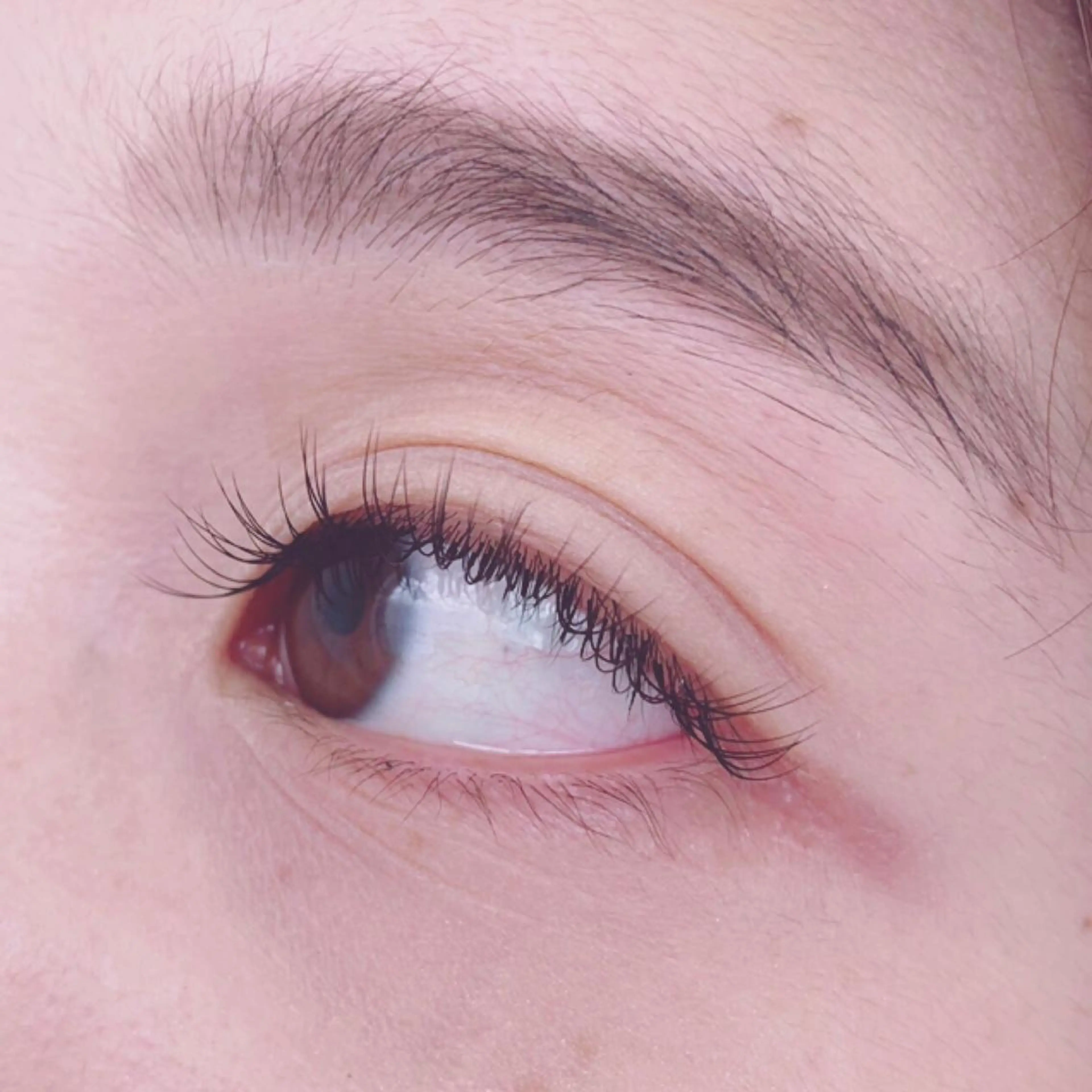 マツエク・マツパ キュート nekoRu アイラッシュのマツエク・マツパデザイン