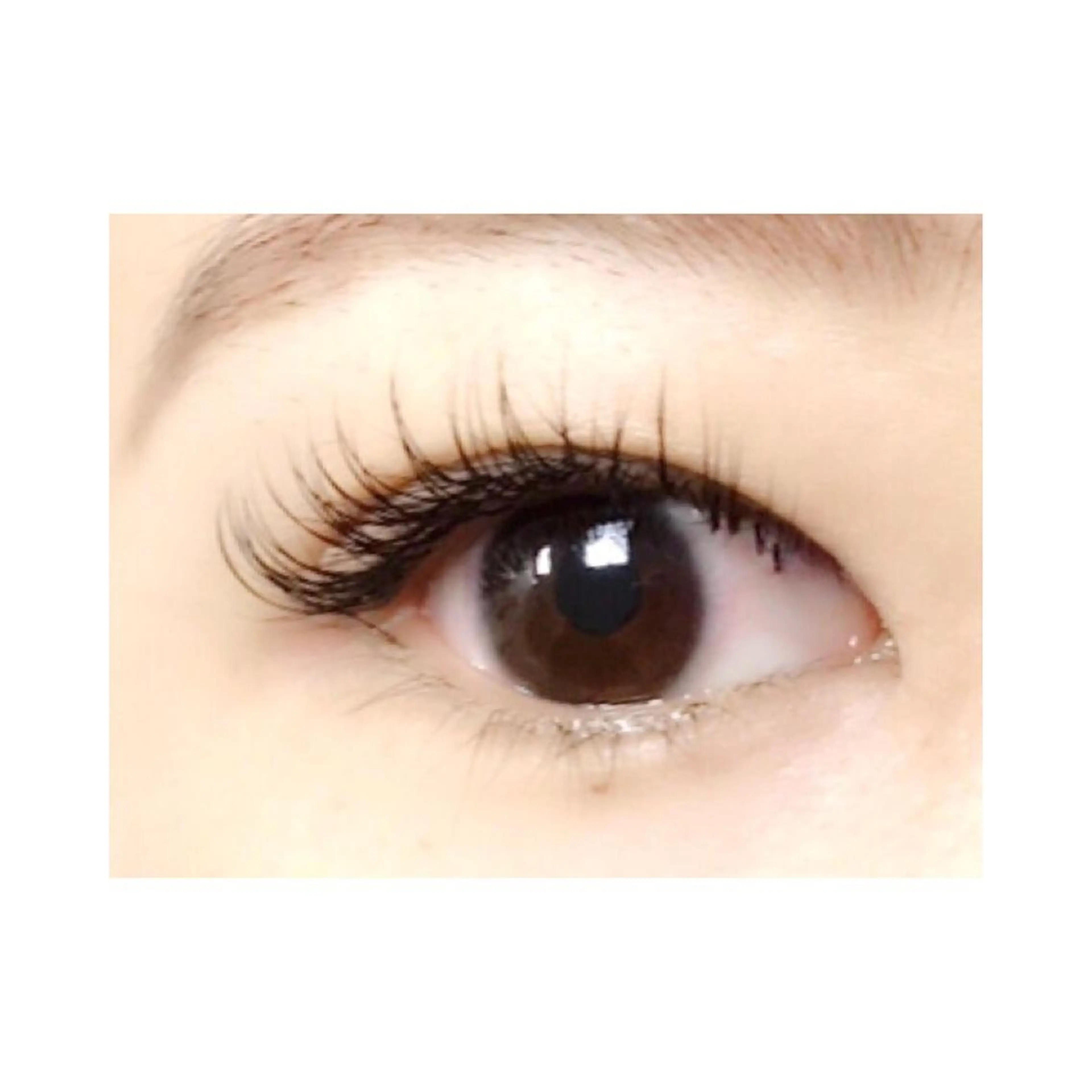 マツエク・マツパ Cheri所属・きし かりんの眉毛・アイブロウイメージ