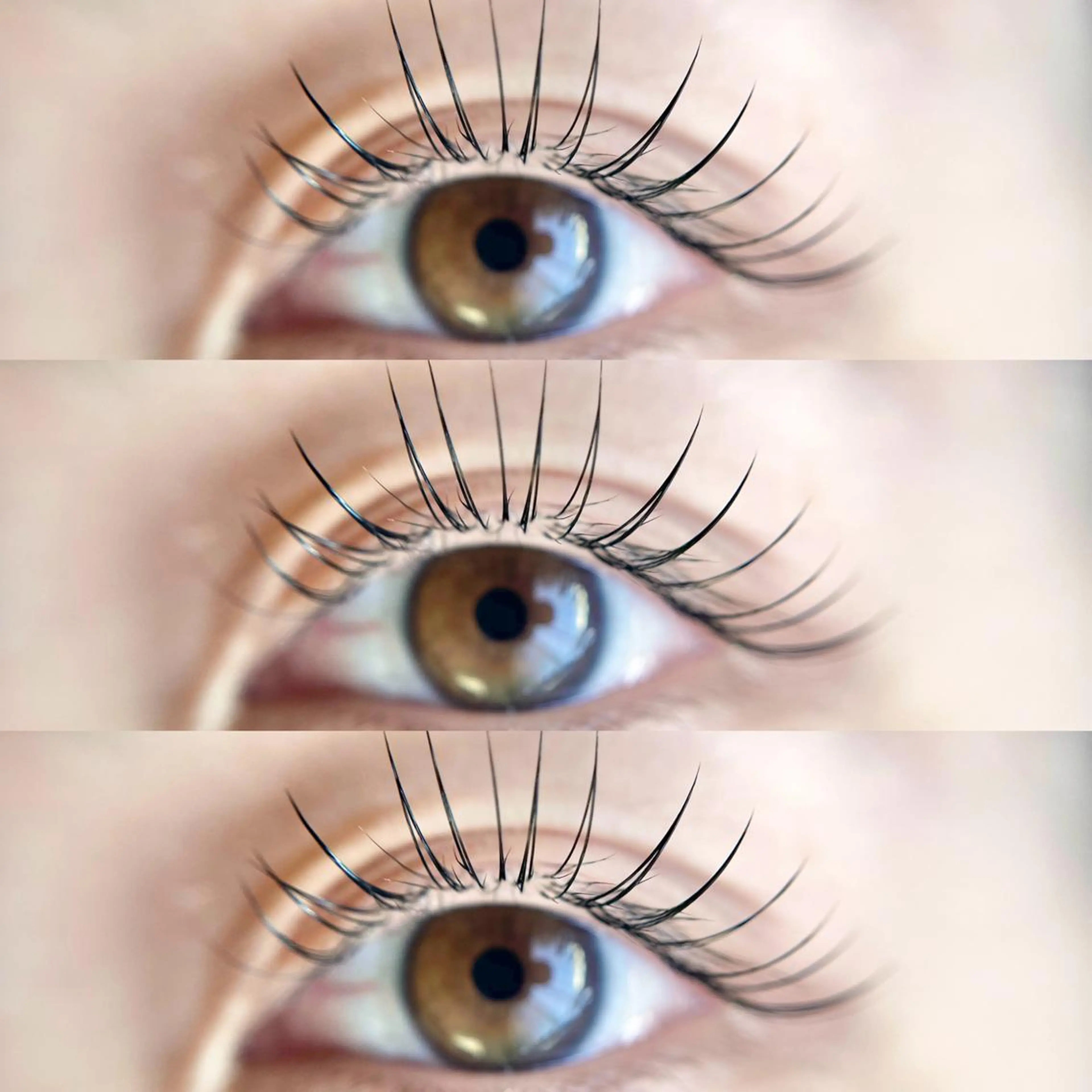 《初回限定》セーブルラッシュ80本​〜​🤎の写真