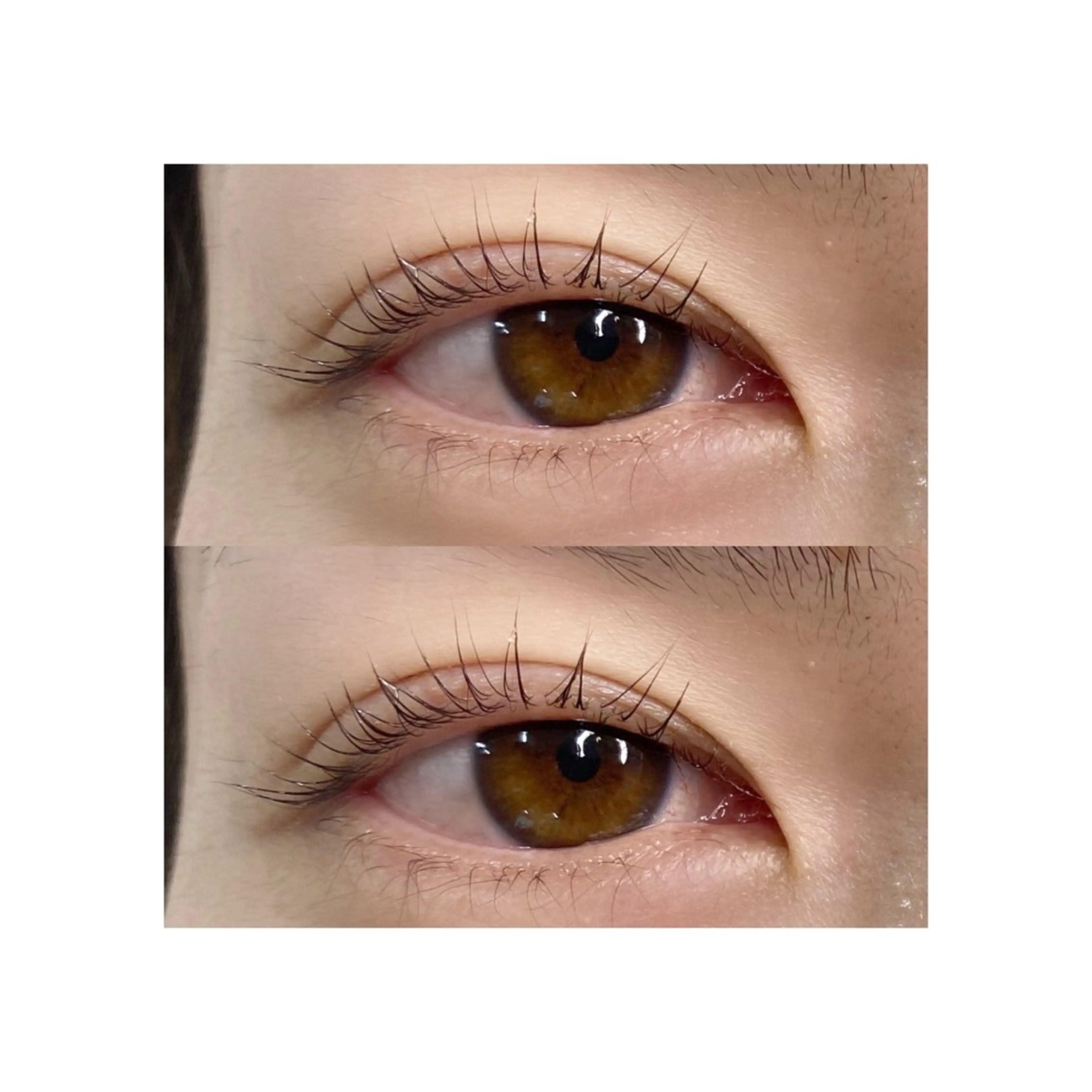 アイブロウ マツパ U too e's MANAE🌼の眉毛・アイブロウイメージ