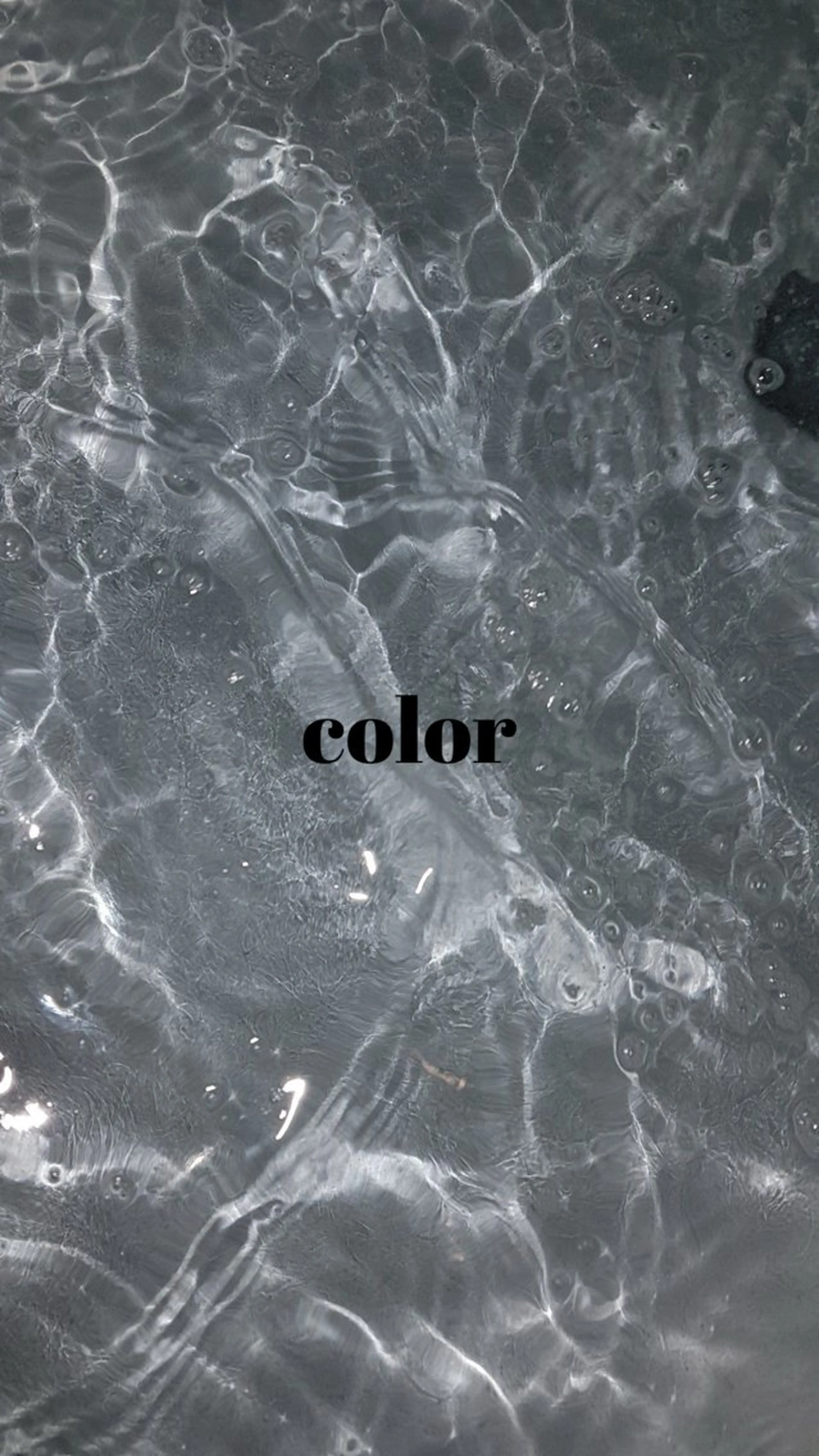 [どのクーポンがいいか分からない方はこちらをお選びください‪·͜· ❤︎‬]ワンカラー🎀☆*:.｡.の写真