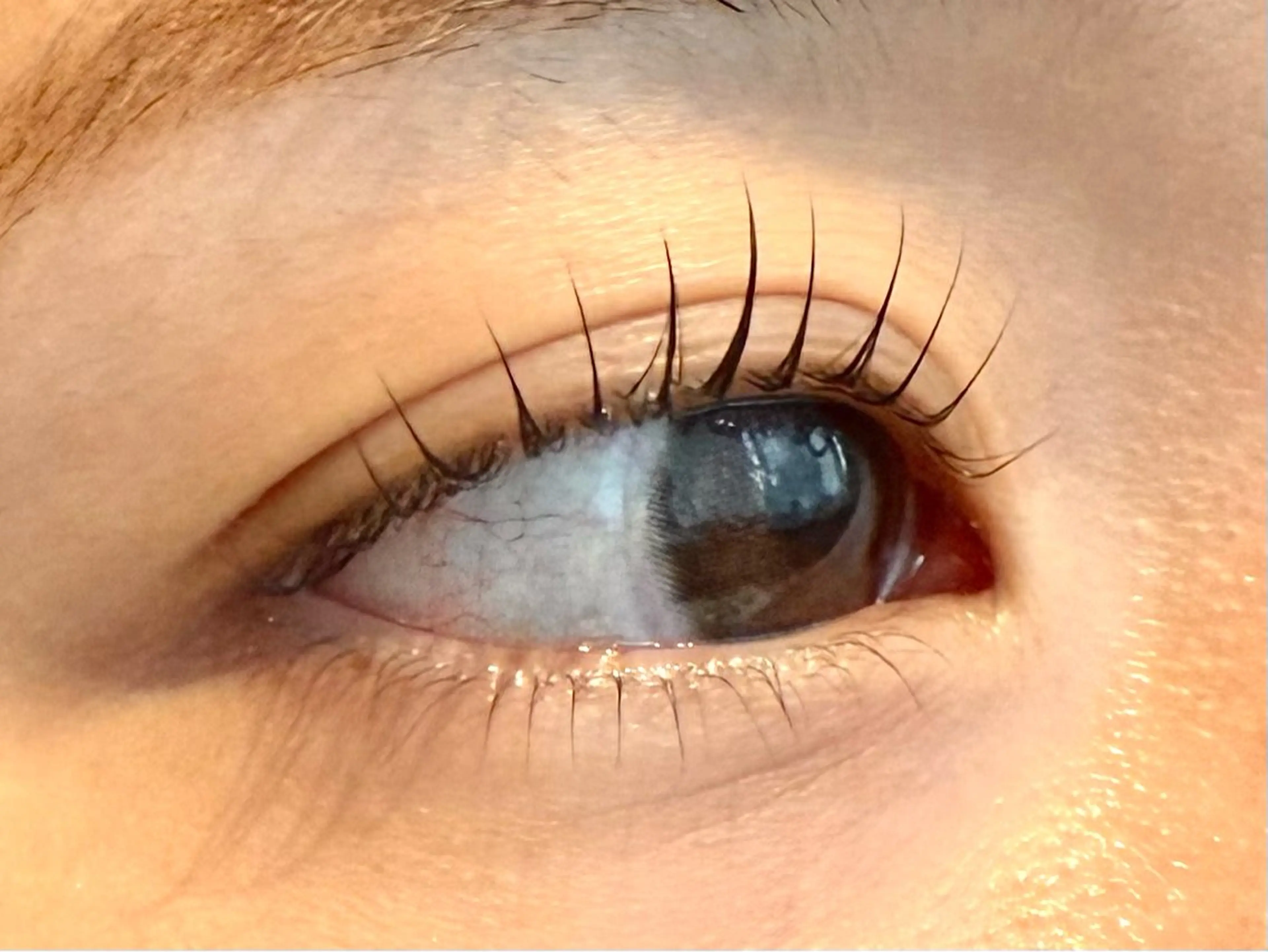 マツエク・マツパ eyelashsalonRACOTA所属・Matsumoto /まつ毛パーマの眉毛・アイブロウイメージ