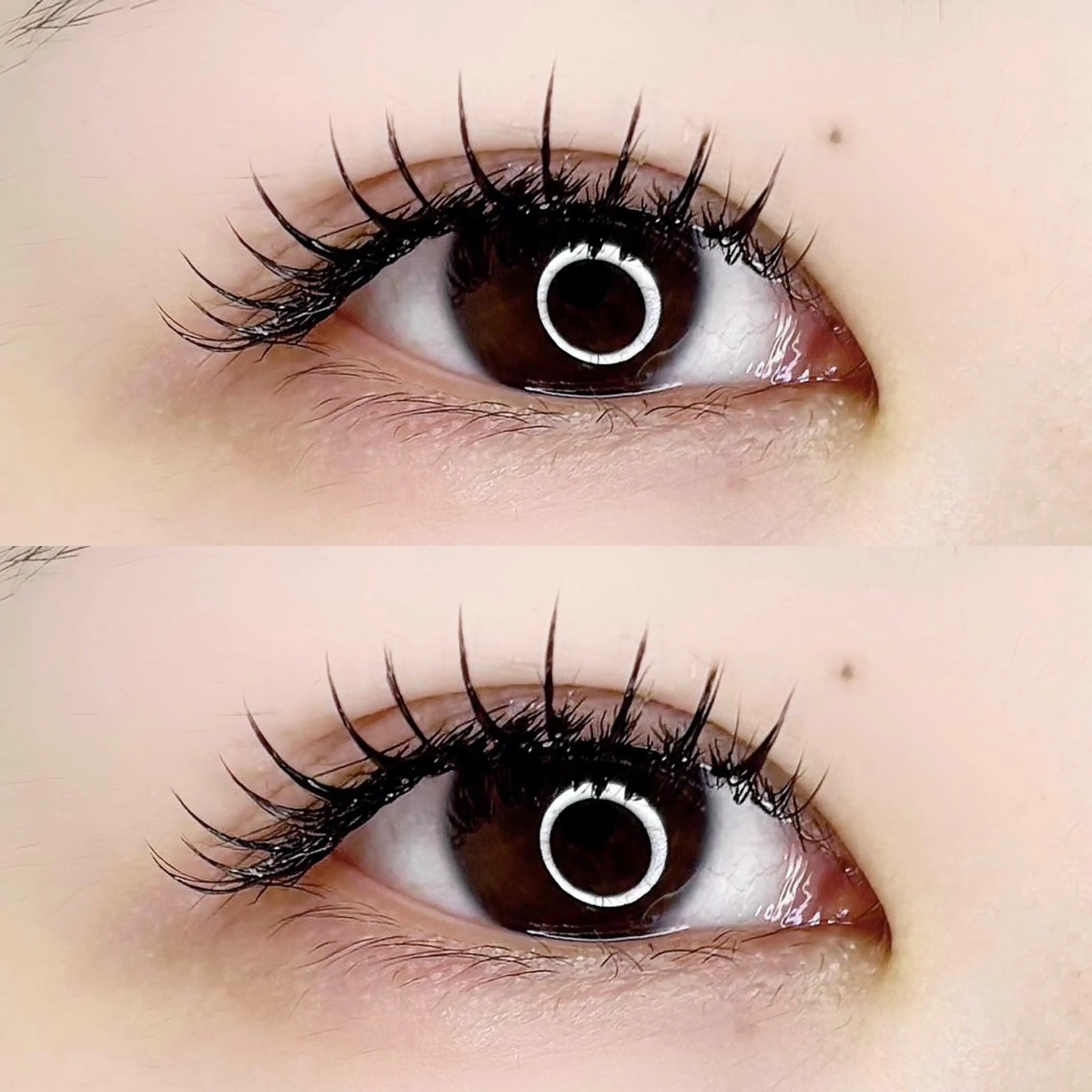 💡【LEDエクステ】フラットラッシュ140本《オフ無料》 💡の写真