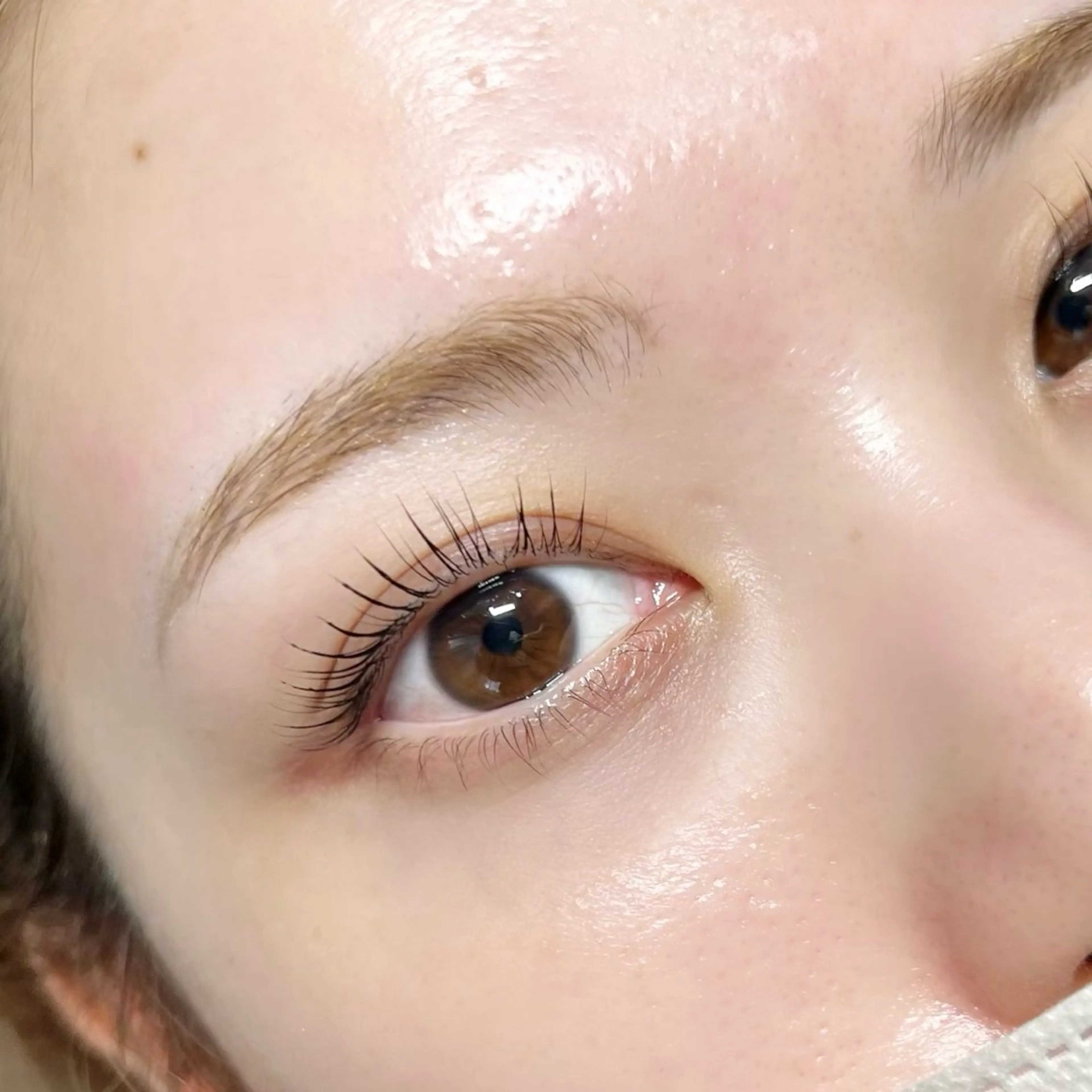 マツエク・マツパ まつげパーマ LASHISA所属・LASHISA 目黒/白金台の眉毛・アイブロウイメージ