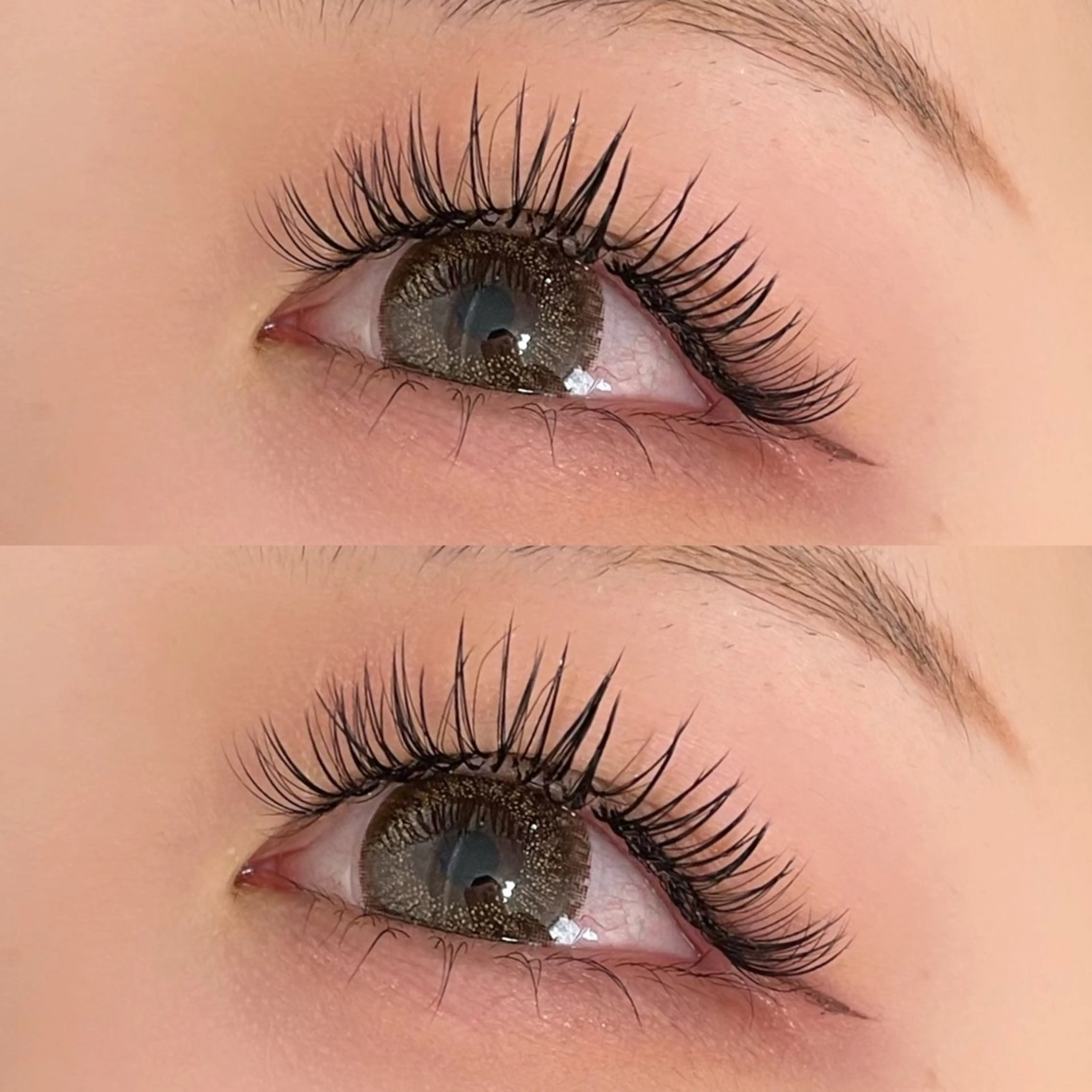 バインドロック50束 【オフなし】の写真