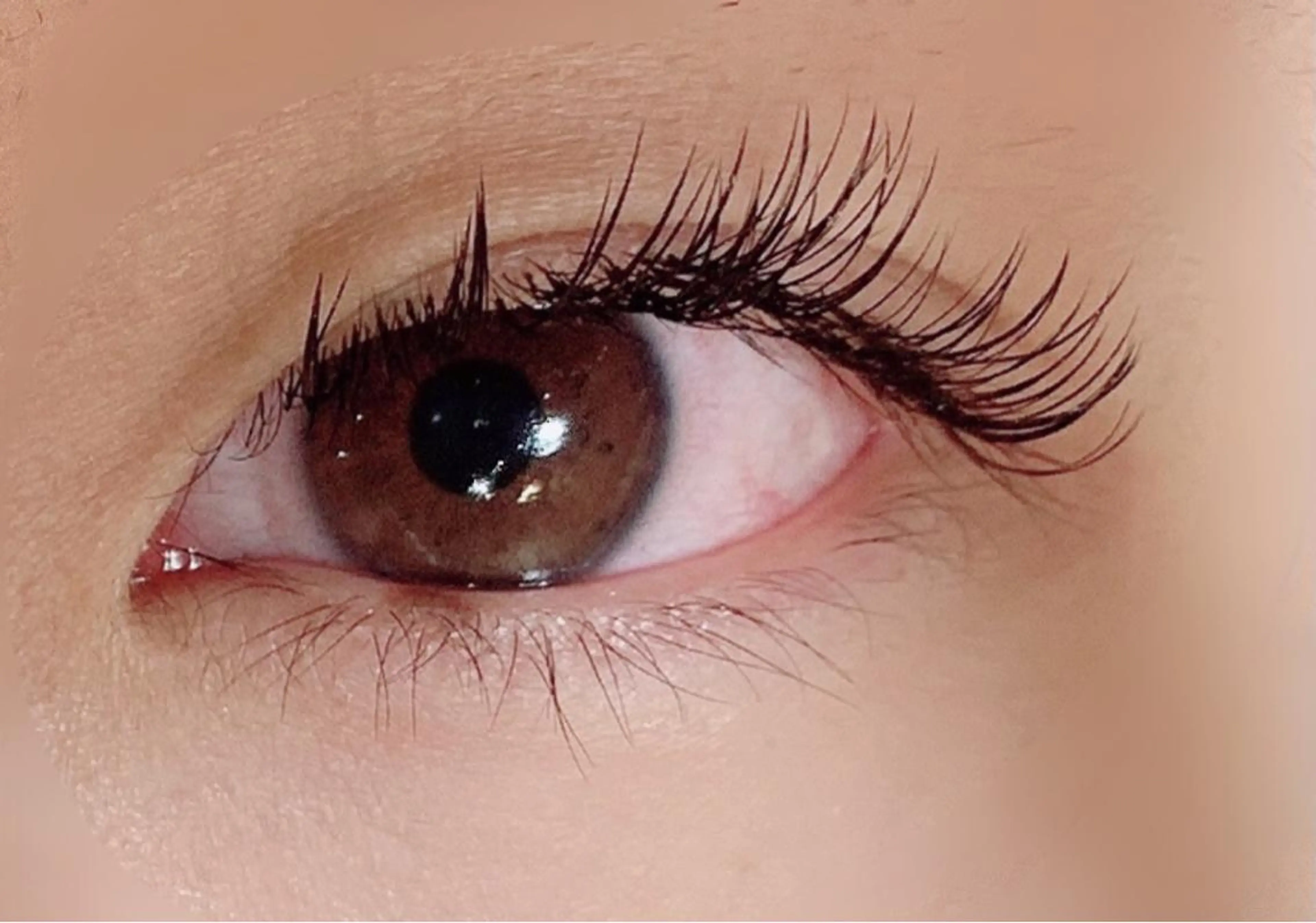 マツエク・マツパ ボリュームラッシュ CLOVER一宮店所属・岩佐 朋香のマツエク・マツパデザイン