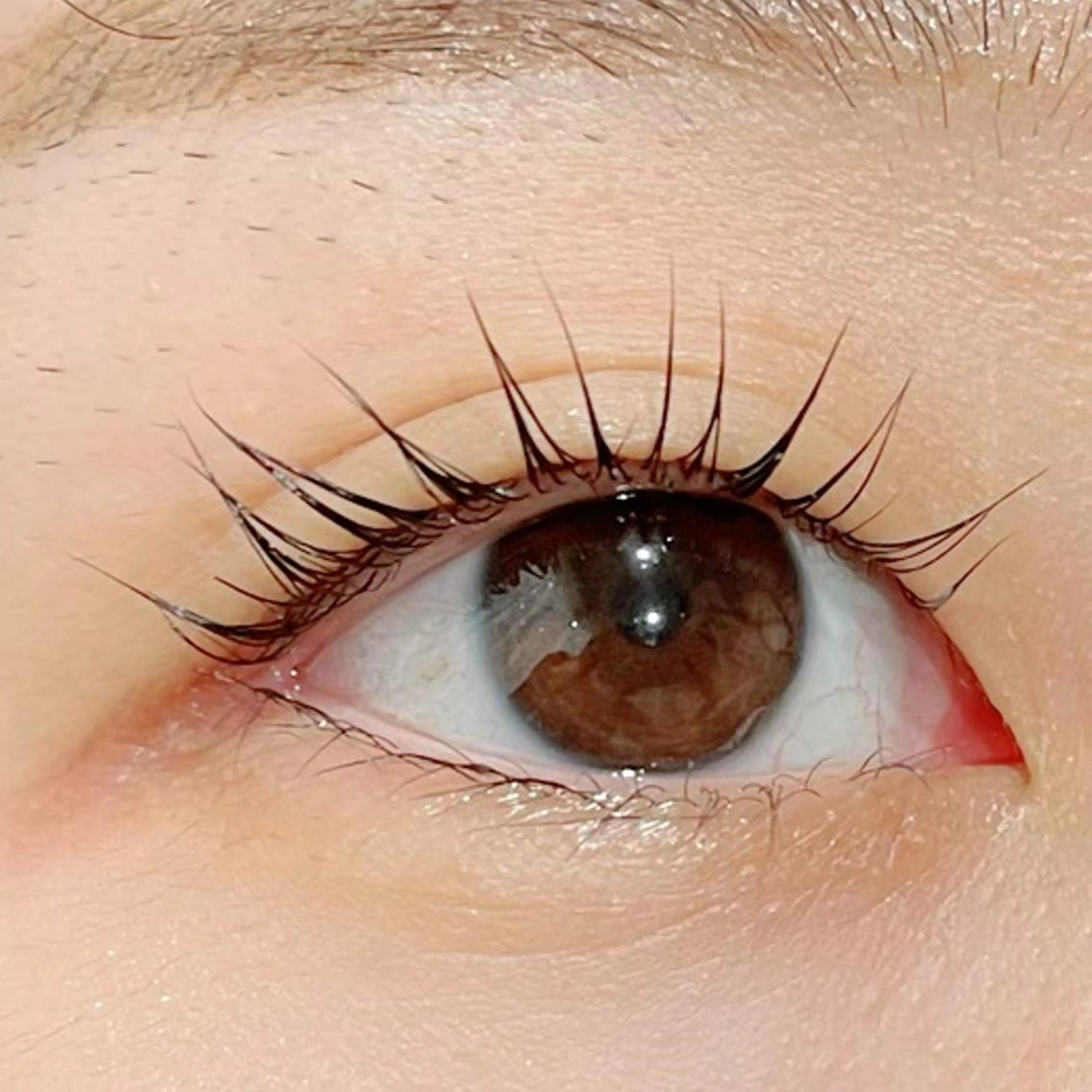 マツエク・マツパ Shine💫白石 珠紀のマツエク・マツパデザイン