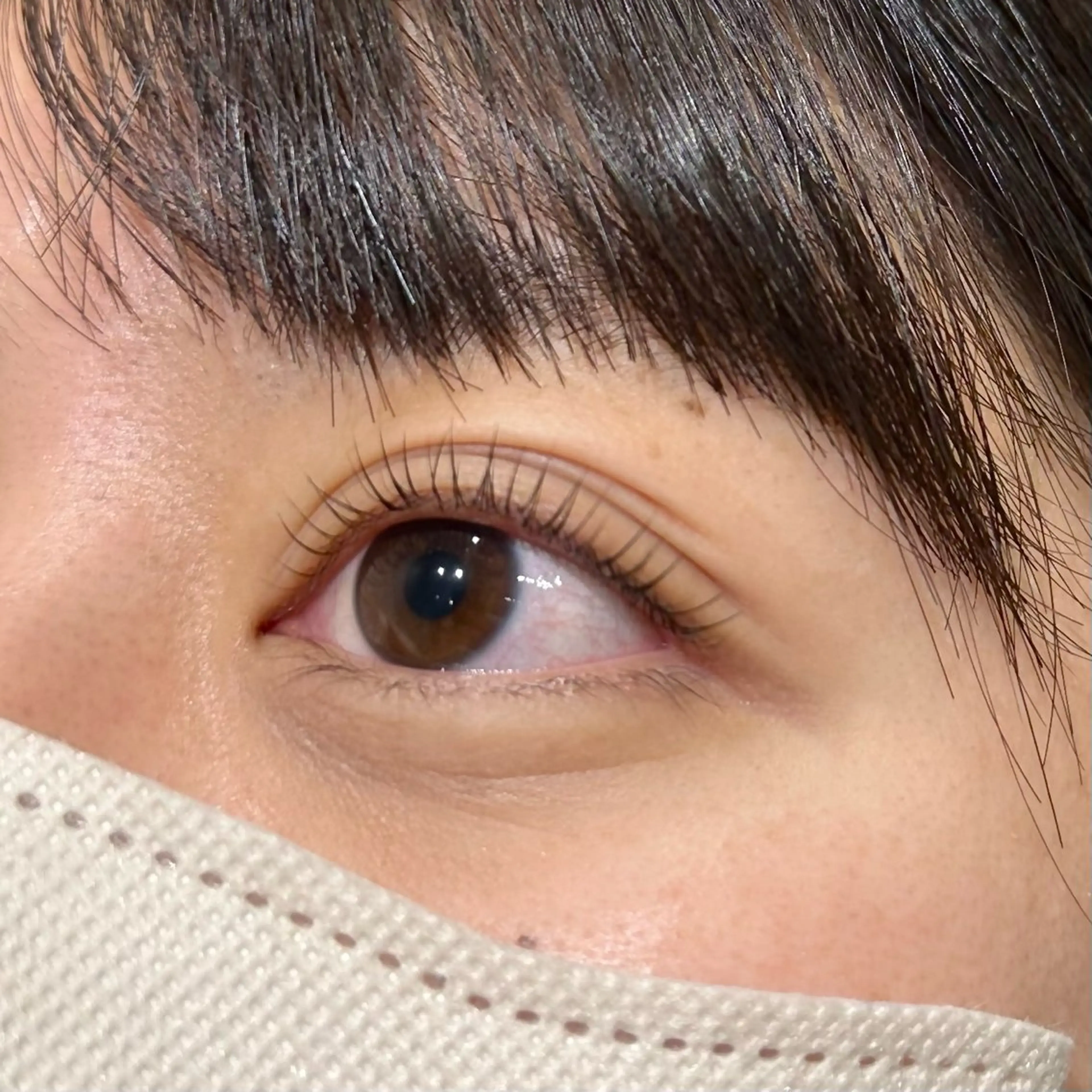 マツエク・マツパ 韓国風マツエク Dollylash 福城のマツエク・マツパデザイン