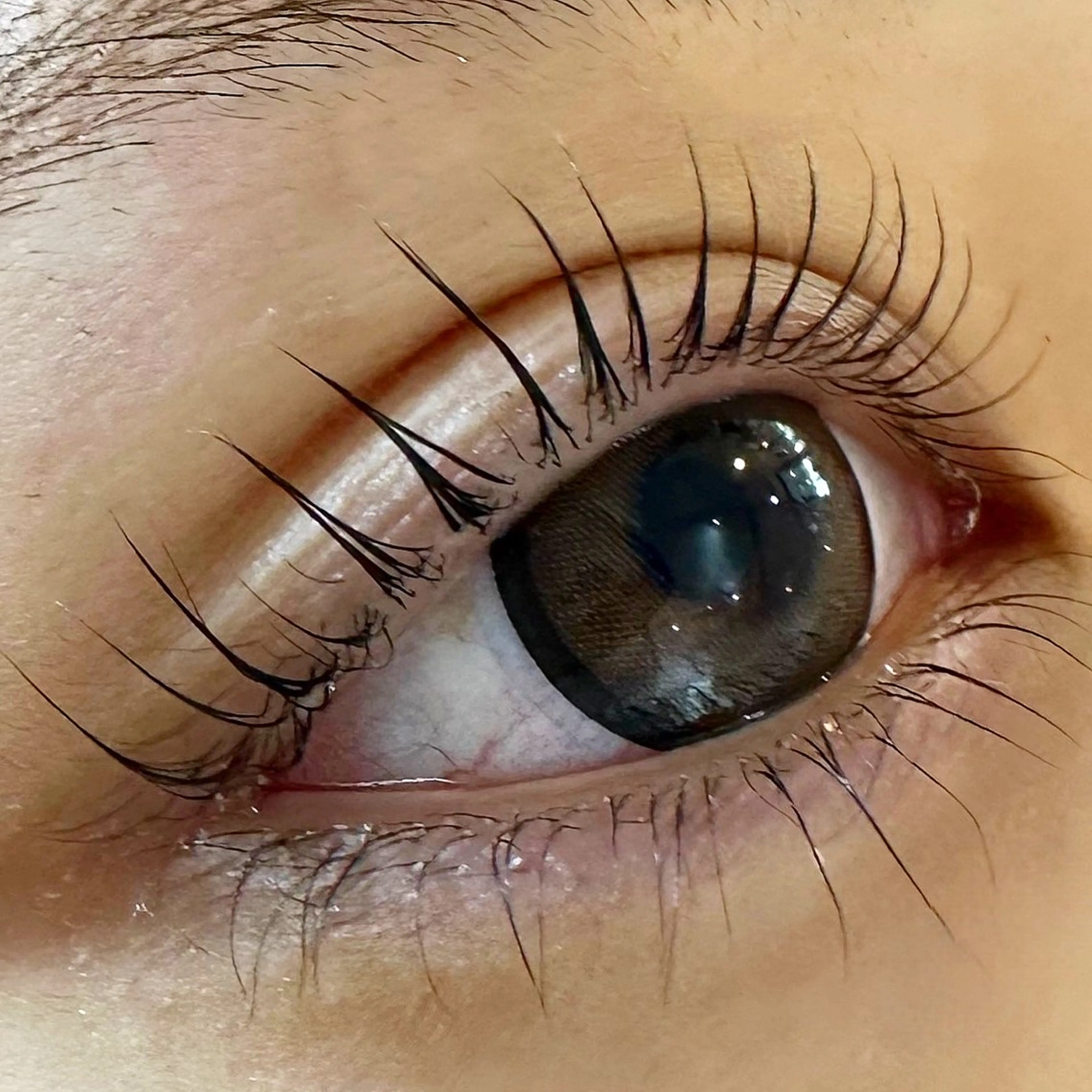 ラッシュリフト 上下の写真