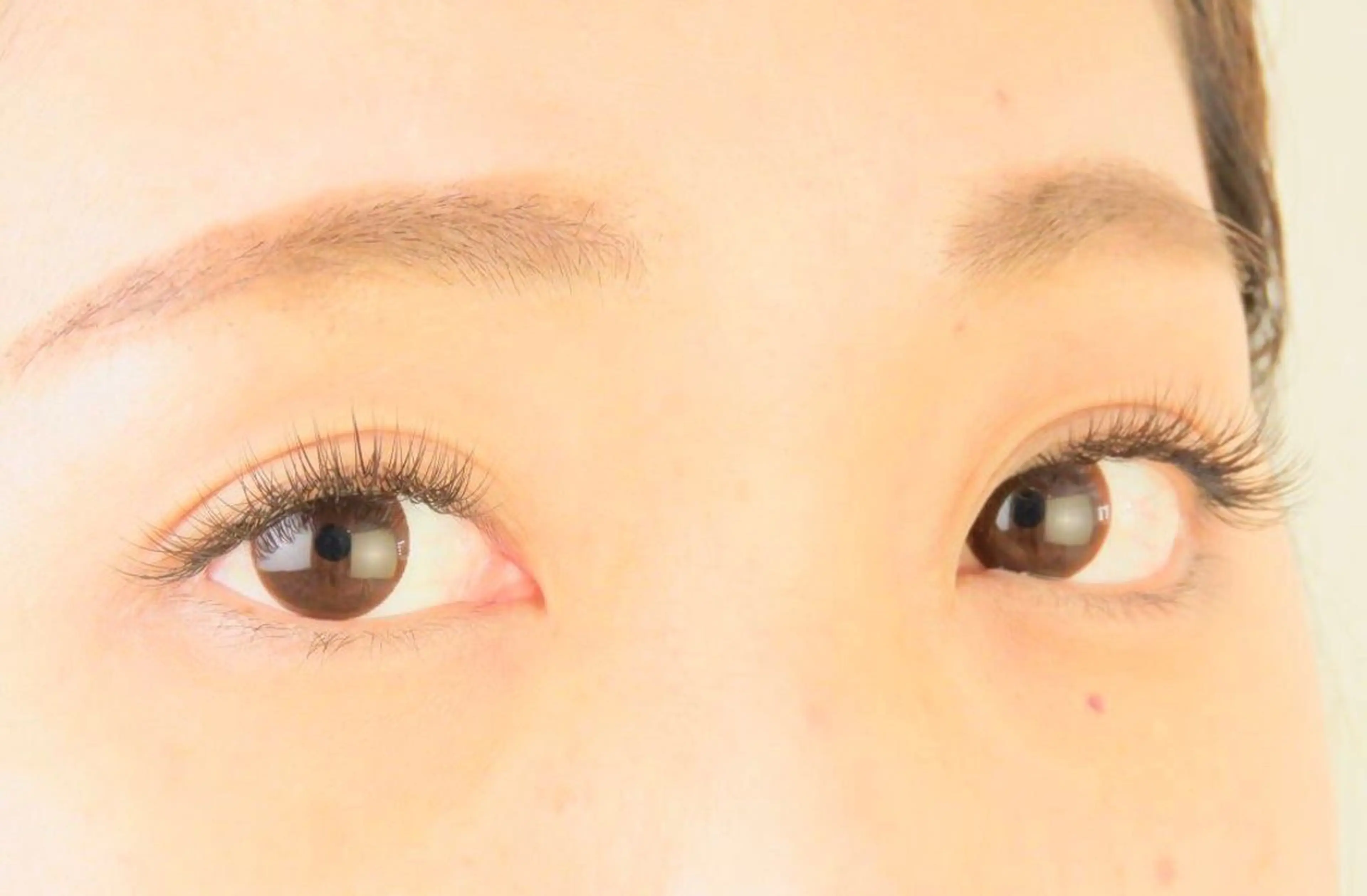 マツエク・マツパ LC尾張旭店所属・LC尾張旭店🫧 いしいのマツエク・マツパデザイン