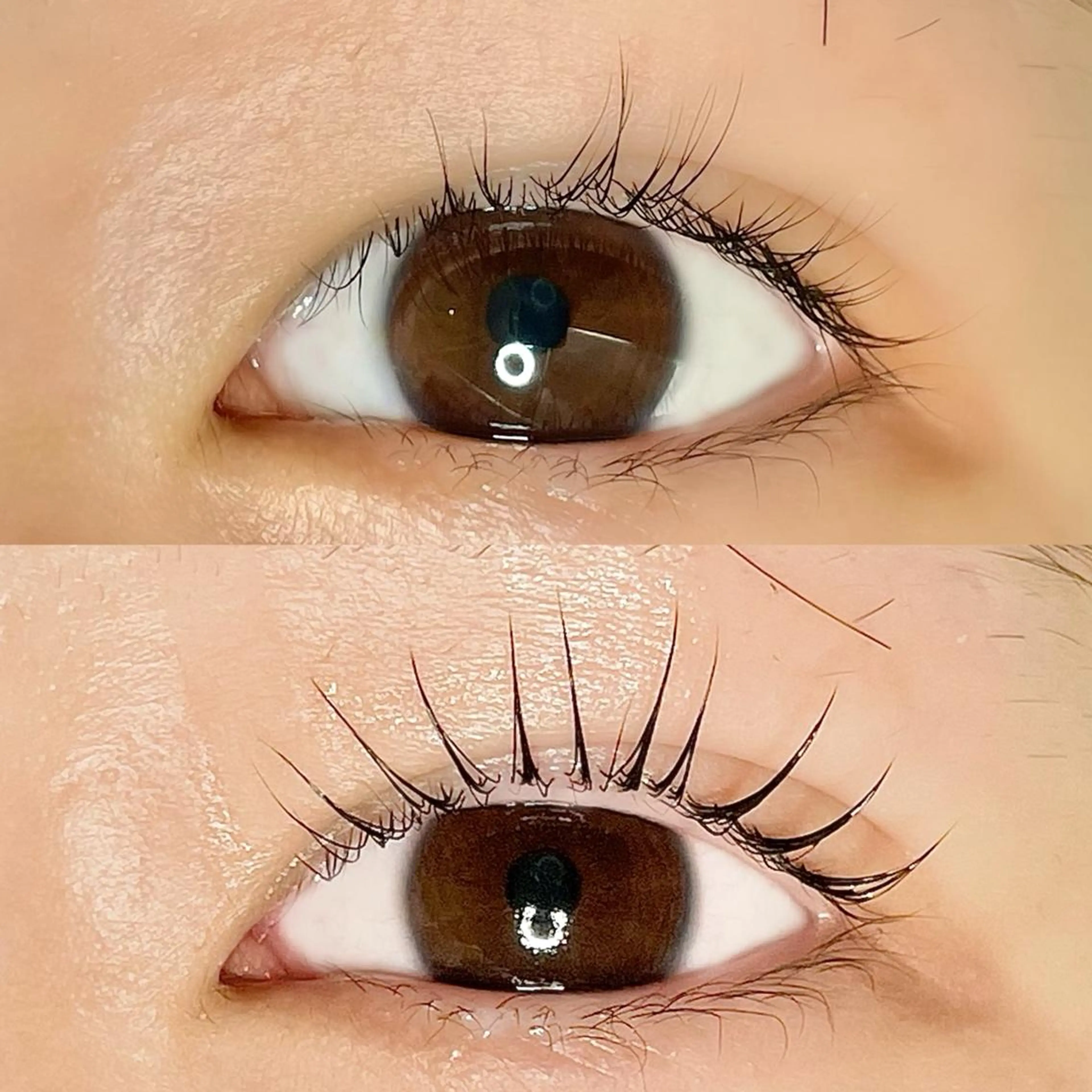 マツエク・マツパ AYLASH🧡 猪又のマツエク・マツパデザイン