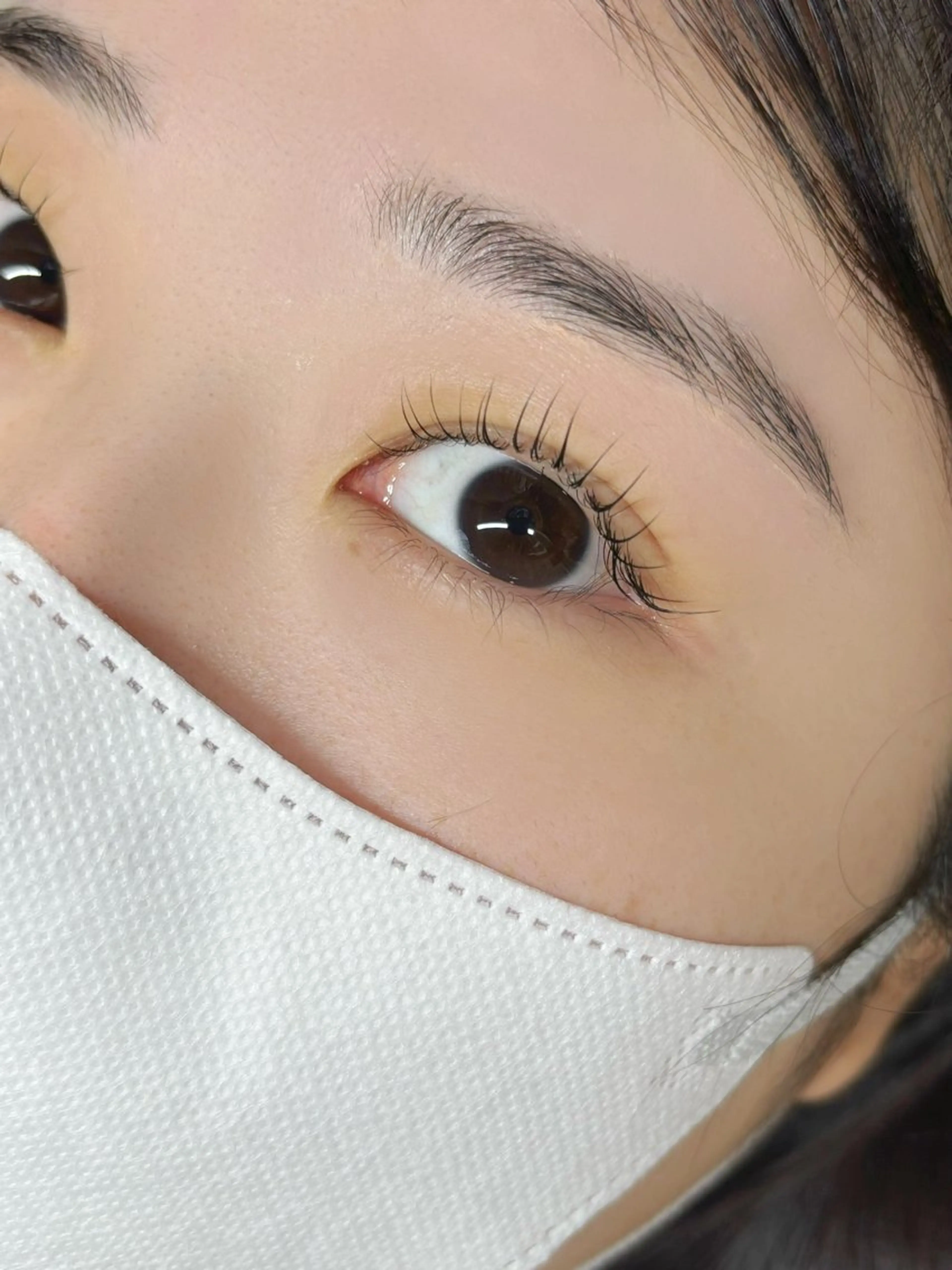 マツエク・マツパ まつげパーマ ワックス脱毛 眉カット その他(アイブロウ) 韓国風eyelush 眉毛サロン/Suuのマツエク・マツパデザイン