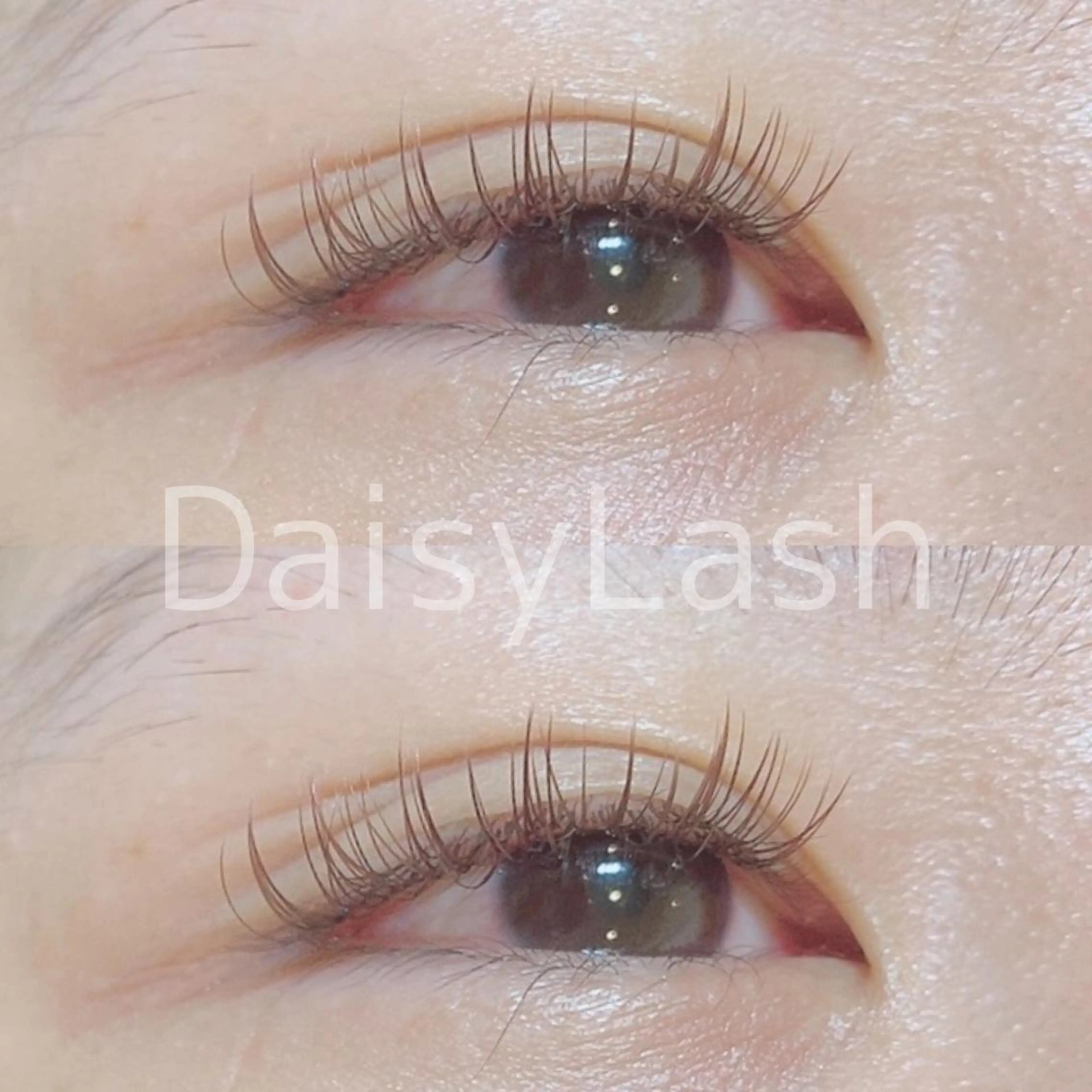 マツエク・マツパ DaisyLash 京橋店のマツエク・マツパデザイン