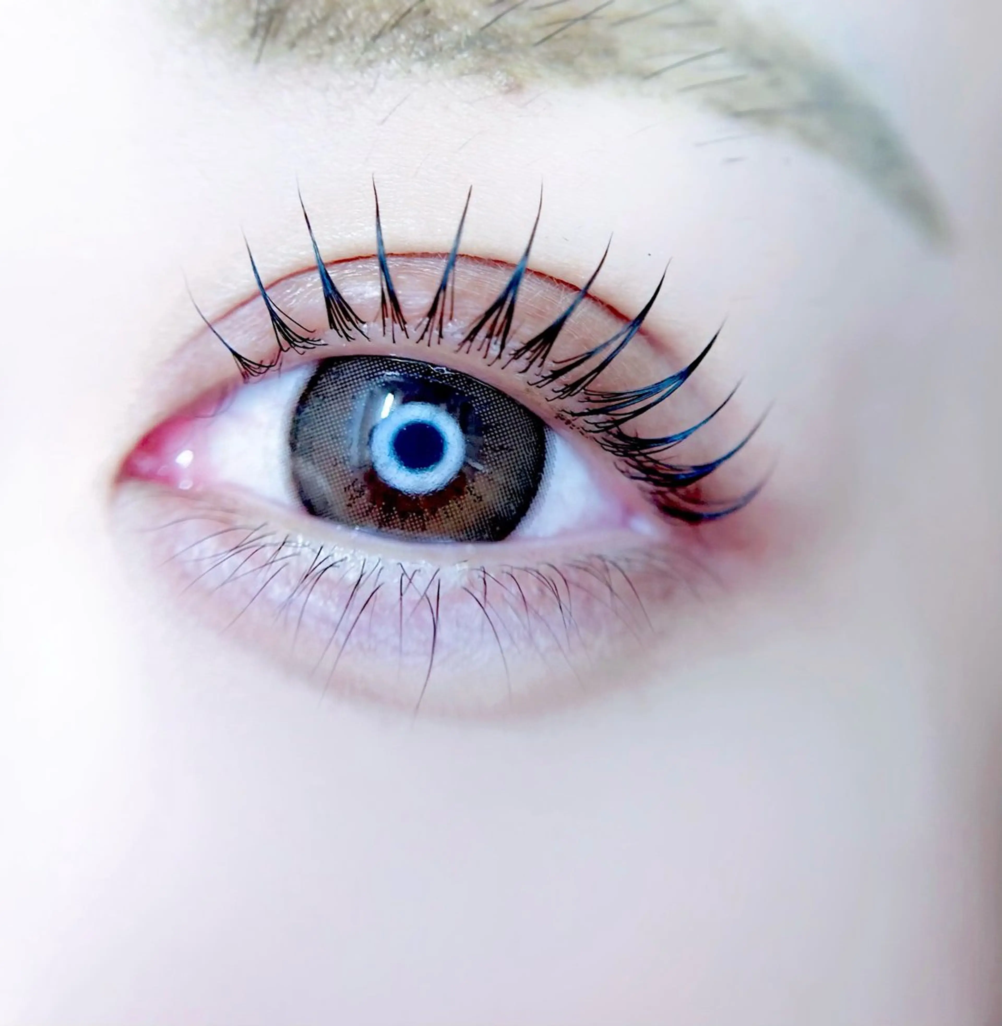 マツエク・マツパ マツパ eyelist. mizuki🐈‍⬛の眉毛・アイブロウイメージ