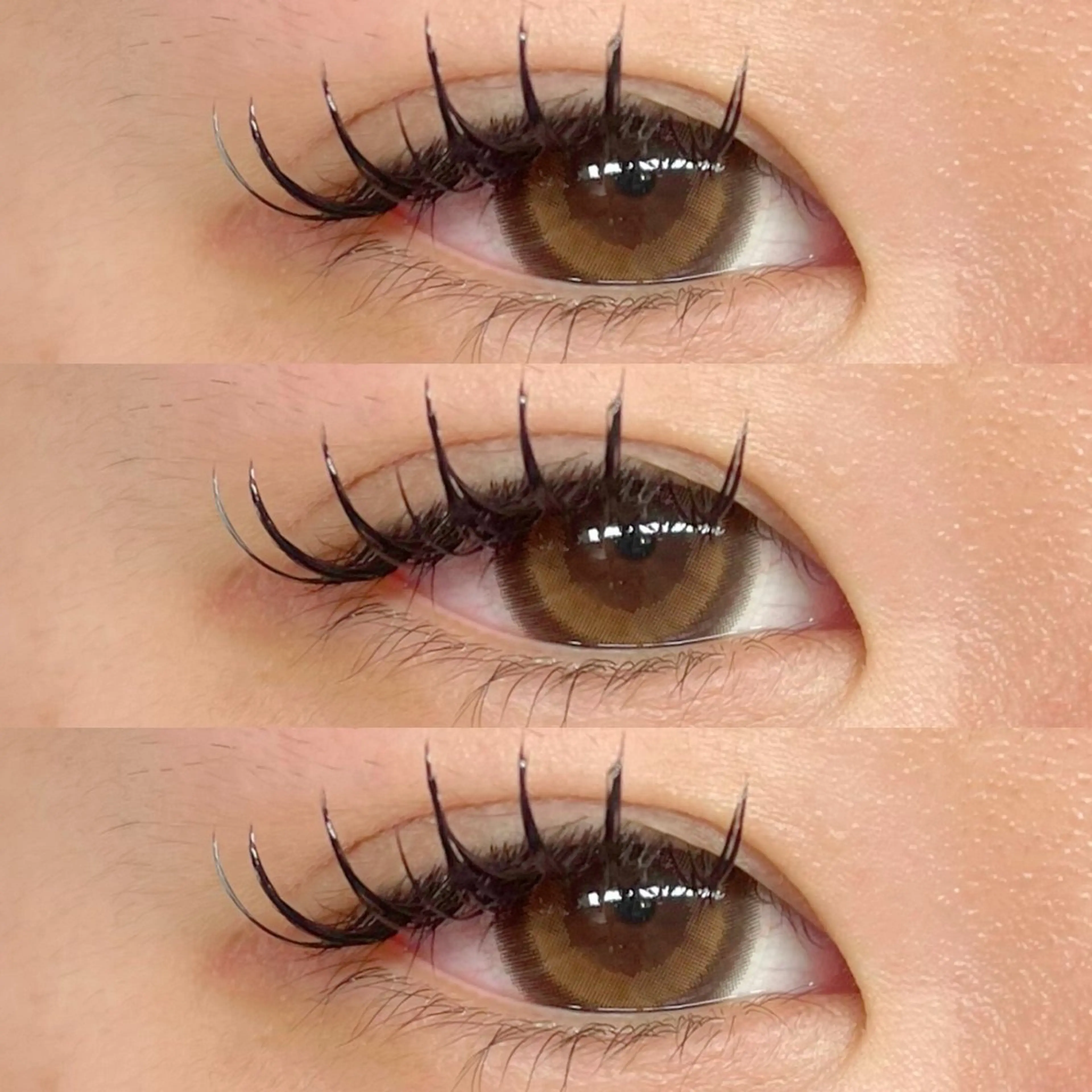 🎀 バインドロック 80束 🎀の写真