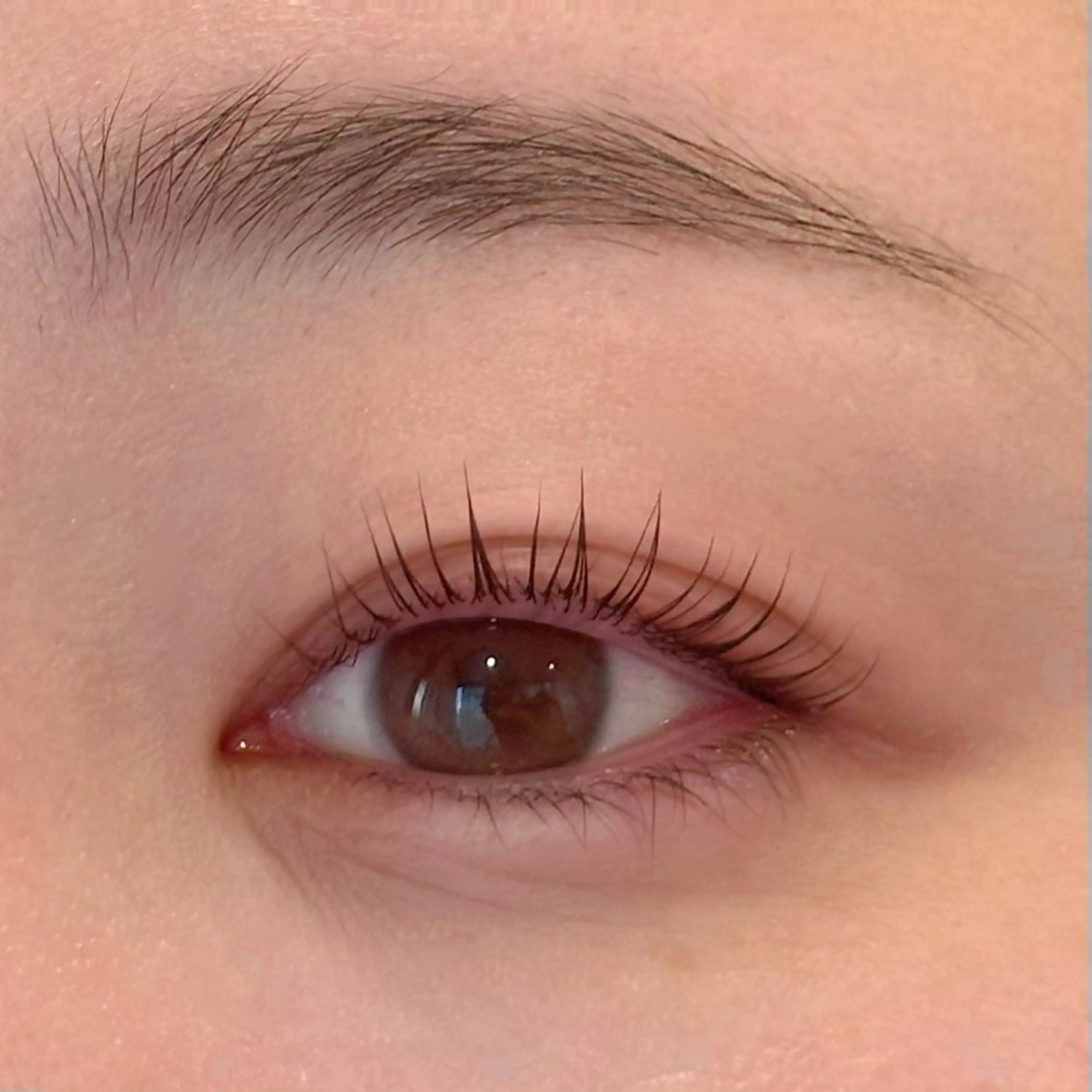 🦋ミニモ限定🦋メーテルフラットラッシュ✨️の写真