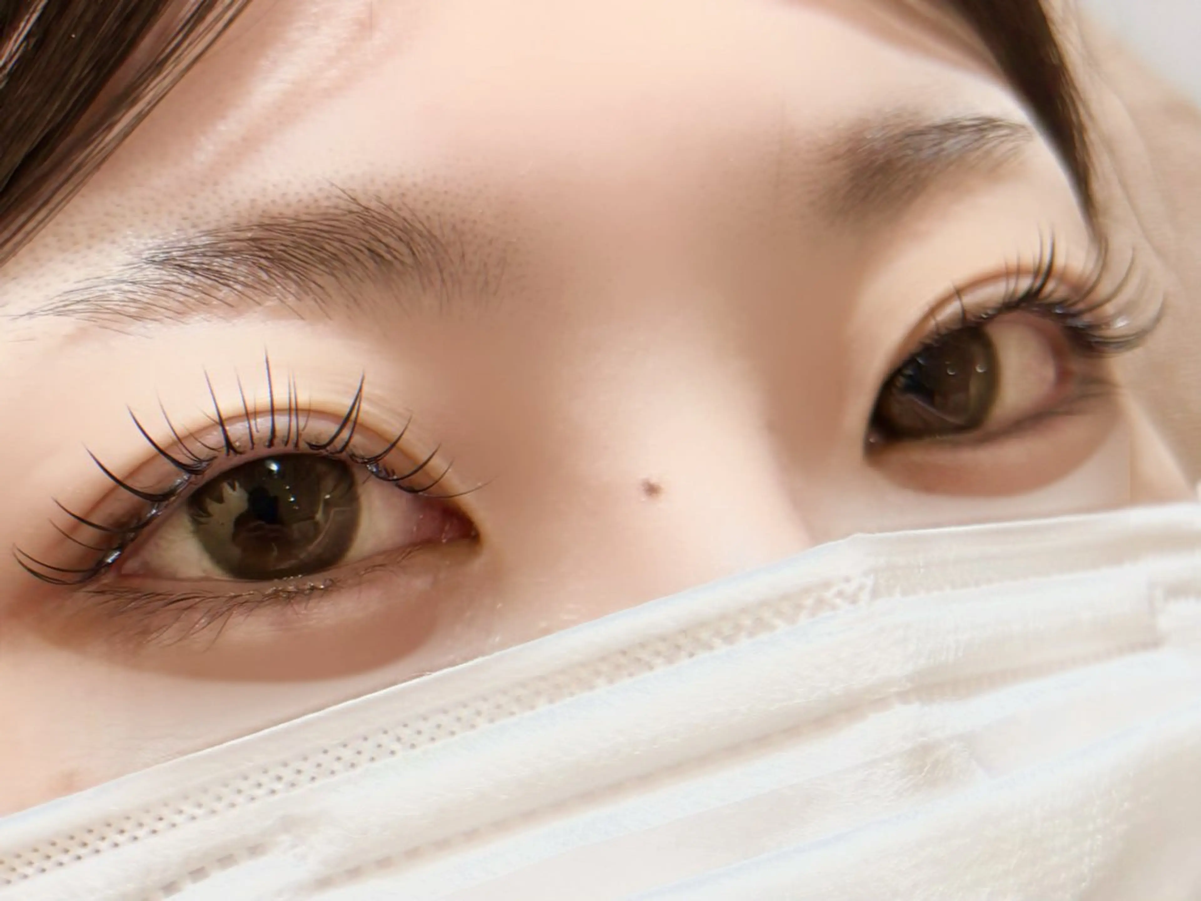 オフ無しシングル120本の写真