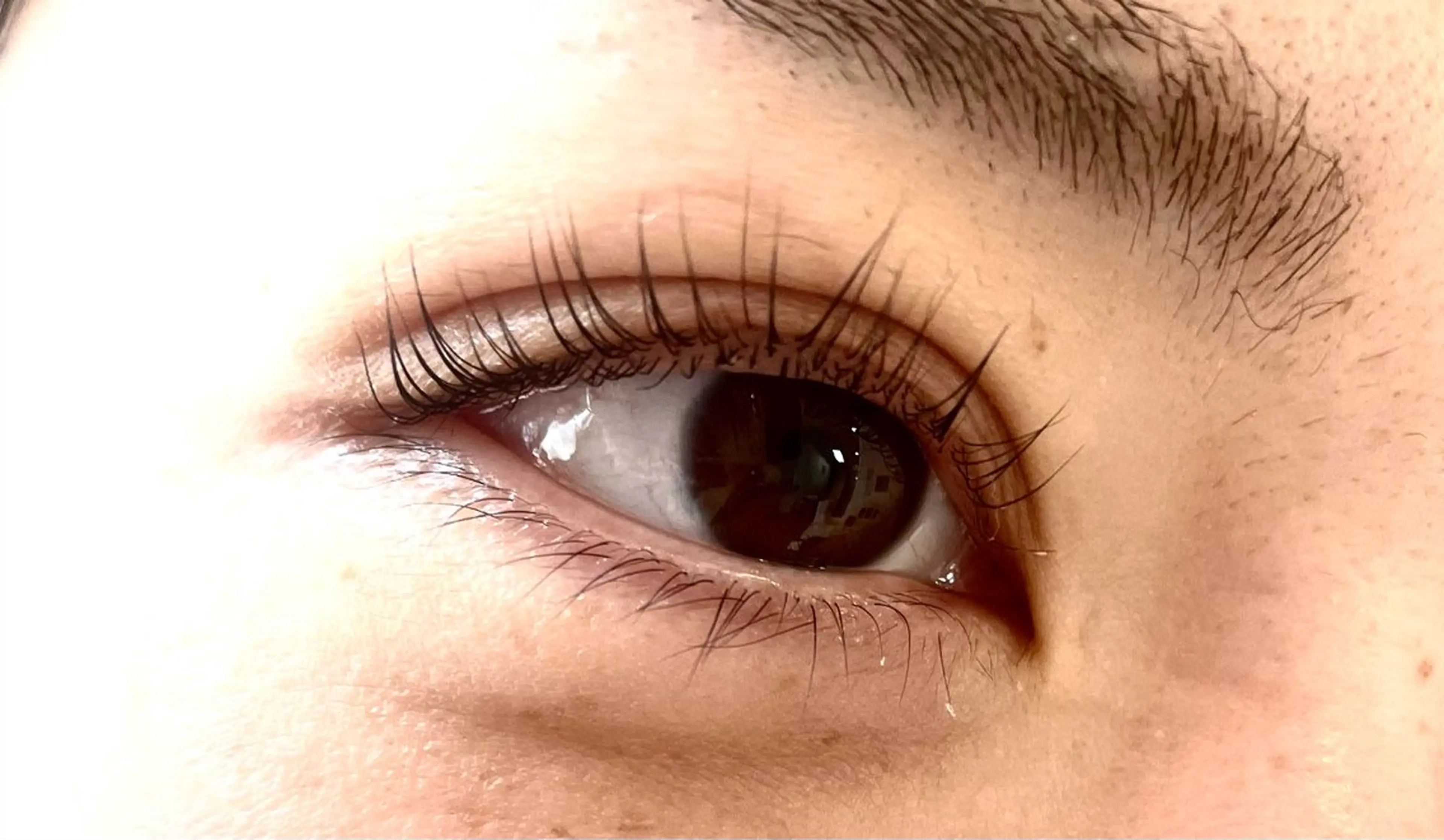 マツエク・マツパ パリジェンヌラッシュリフト Any eyelash＆hair所属・Any eyelashのマツエク・マツパデザイン