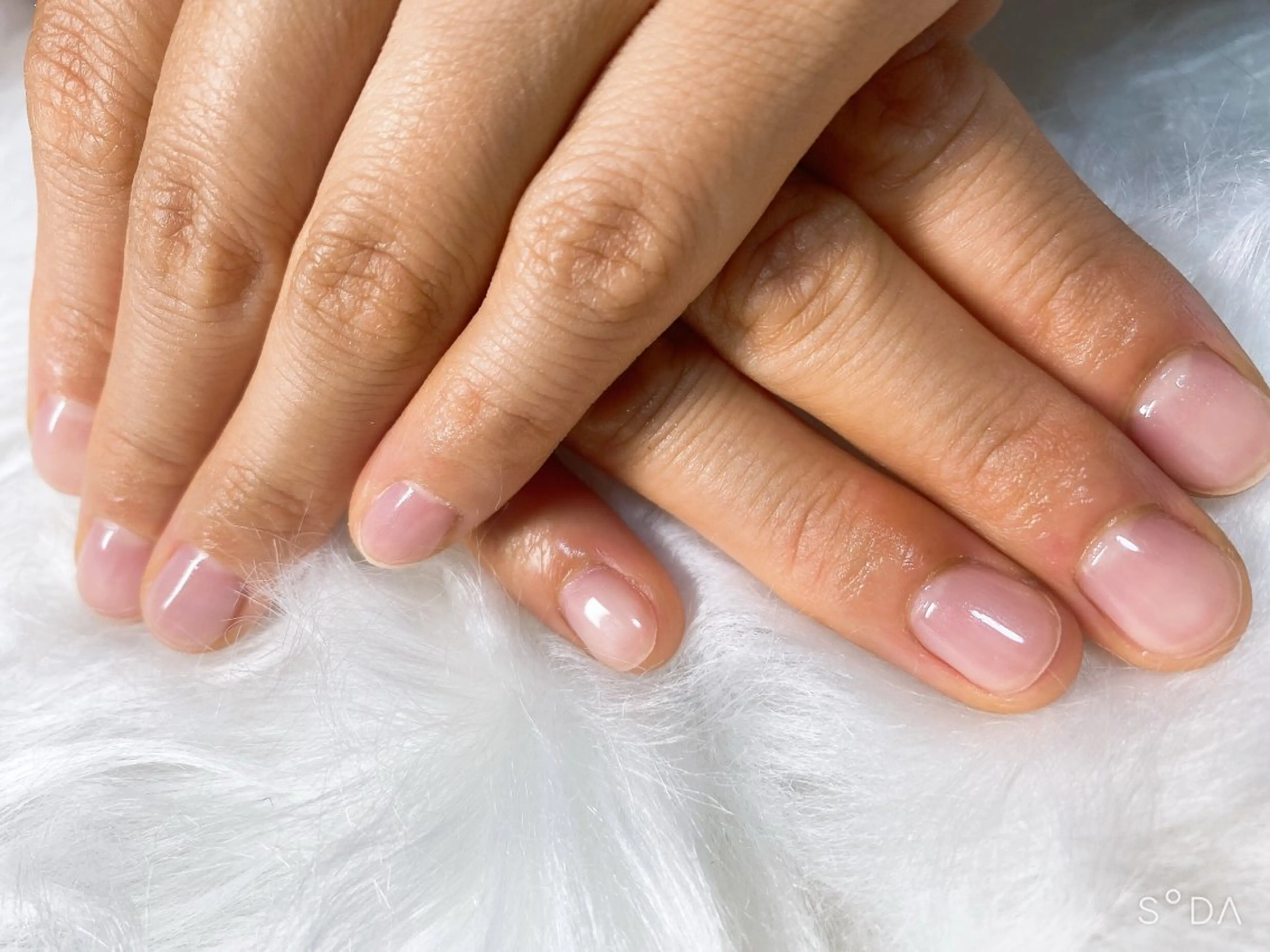 ネイル Theネイルサロン所属・The ネイルサロンのネイルデザイン