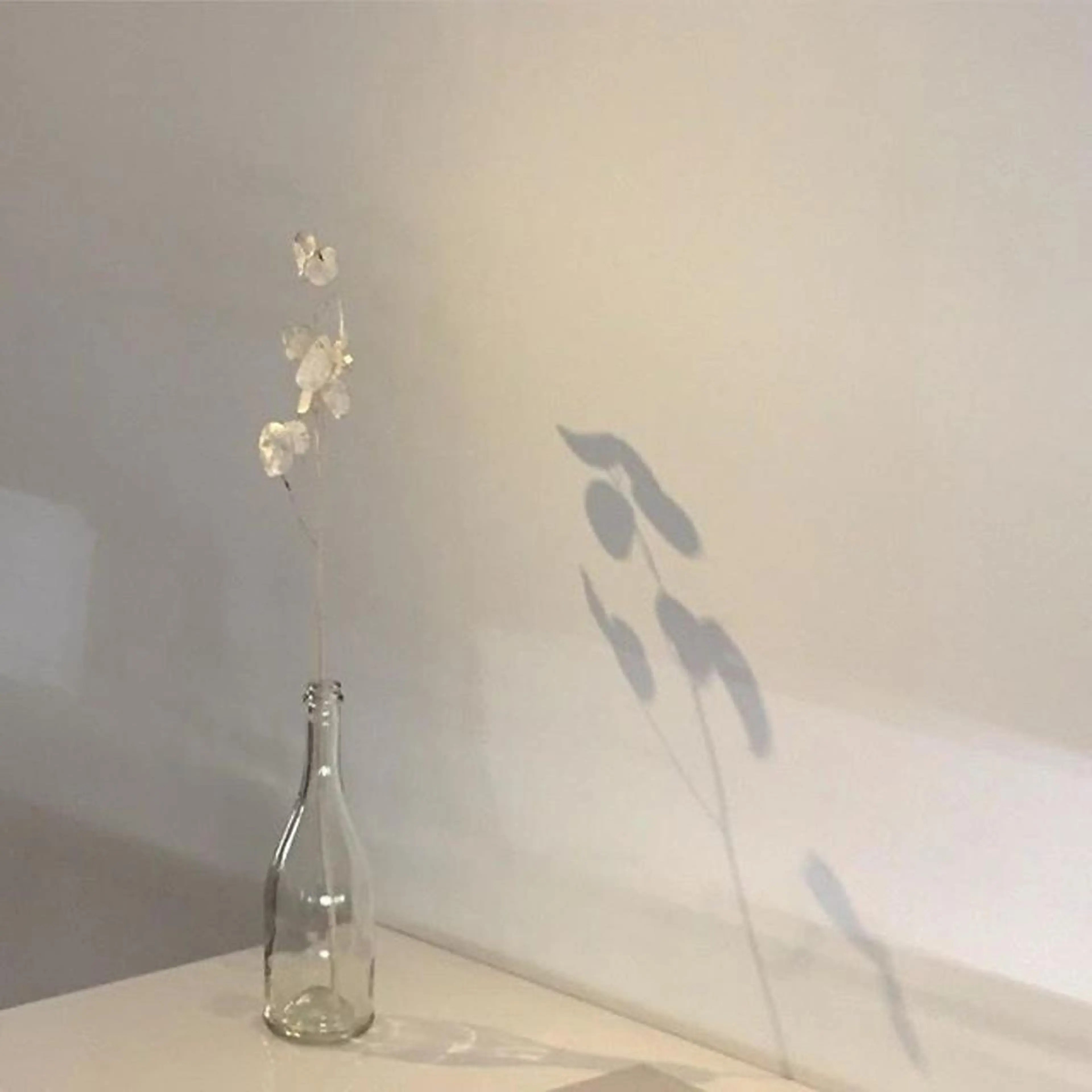 𝗿𝗲𝗼𝗻𝗮 🦦𓂃 𓈒𓏸のマツエク・マツパデザイン