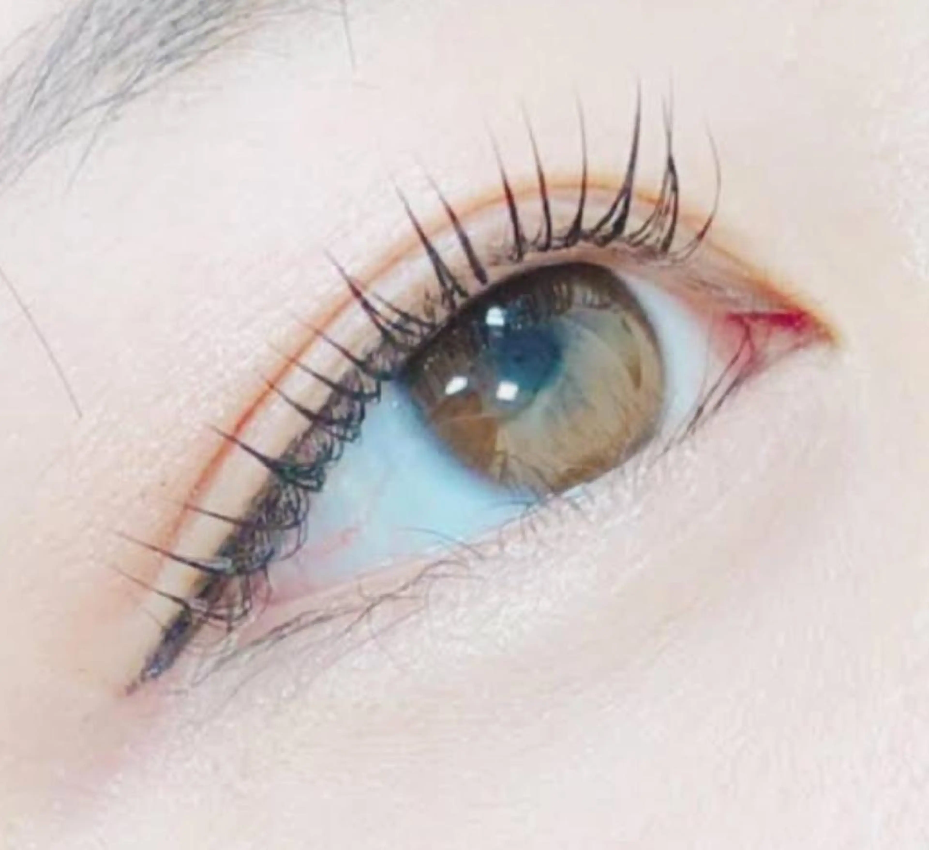 まつ毛カール☆上のみの写真