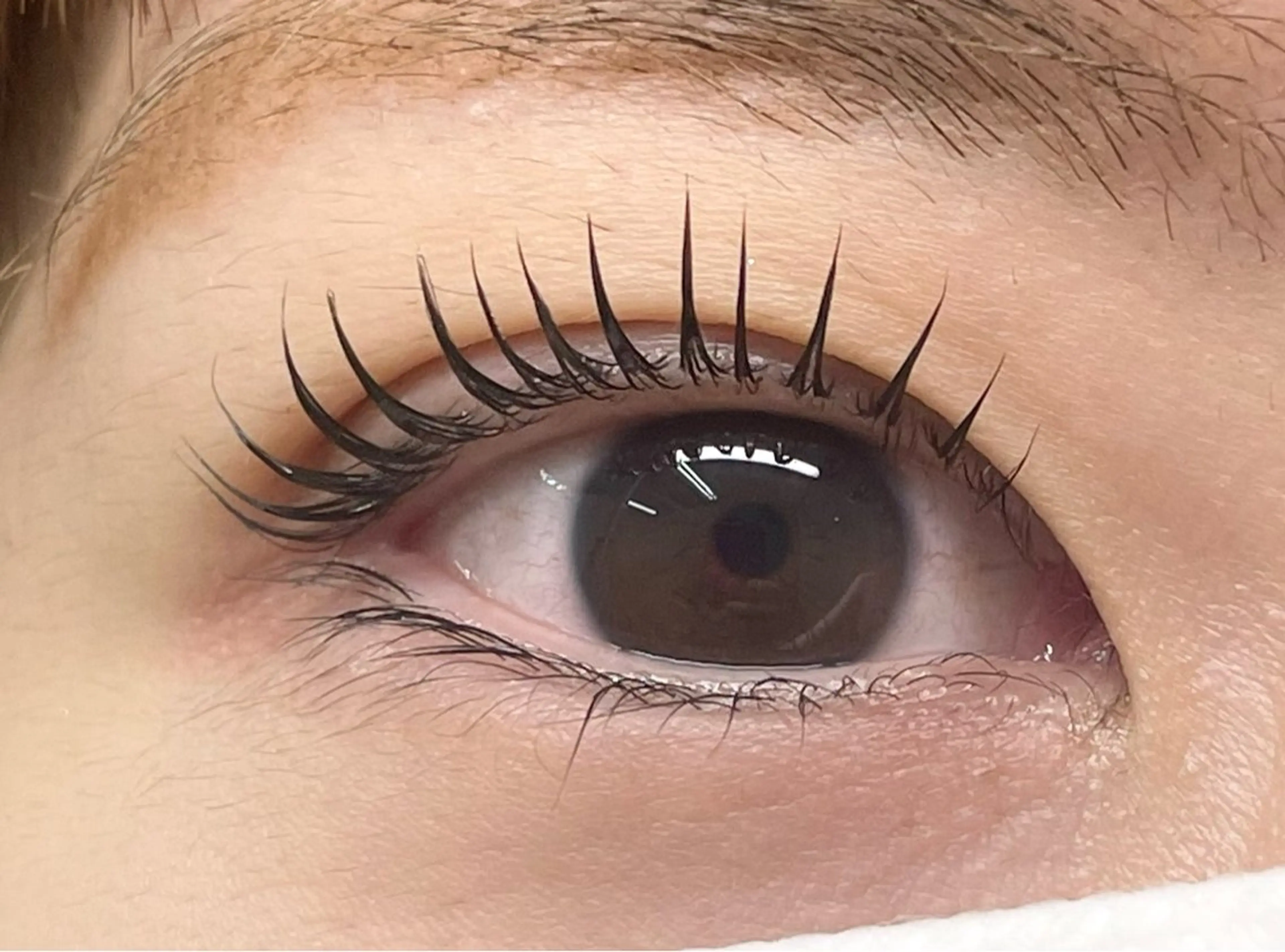 マツエク・マツパ まつげパーマ glitter 京橋駅徒歩 1分のその他イメージ