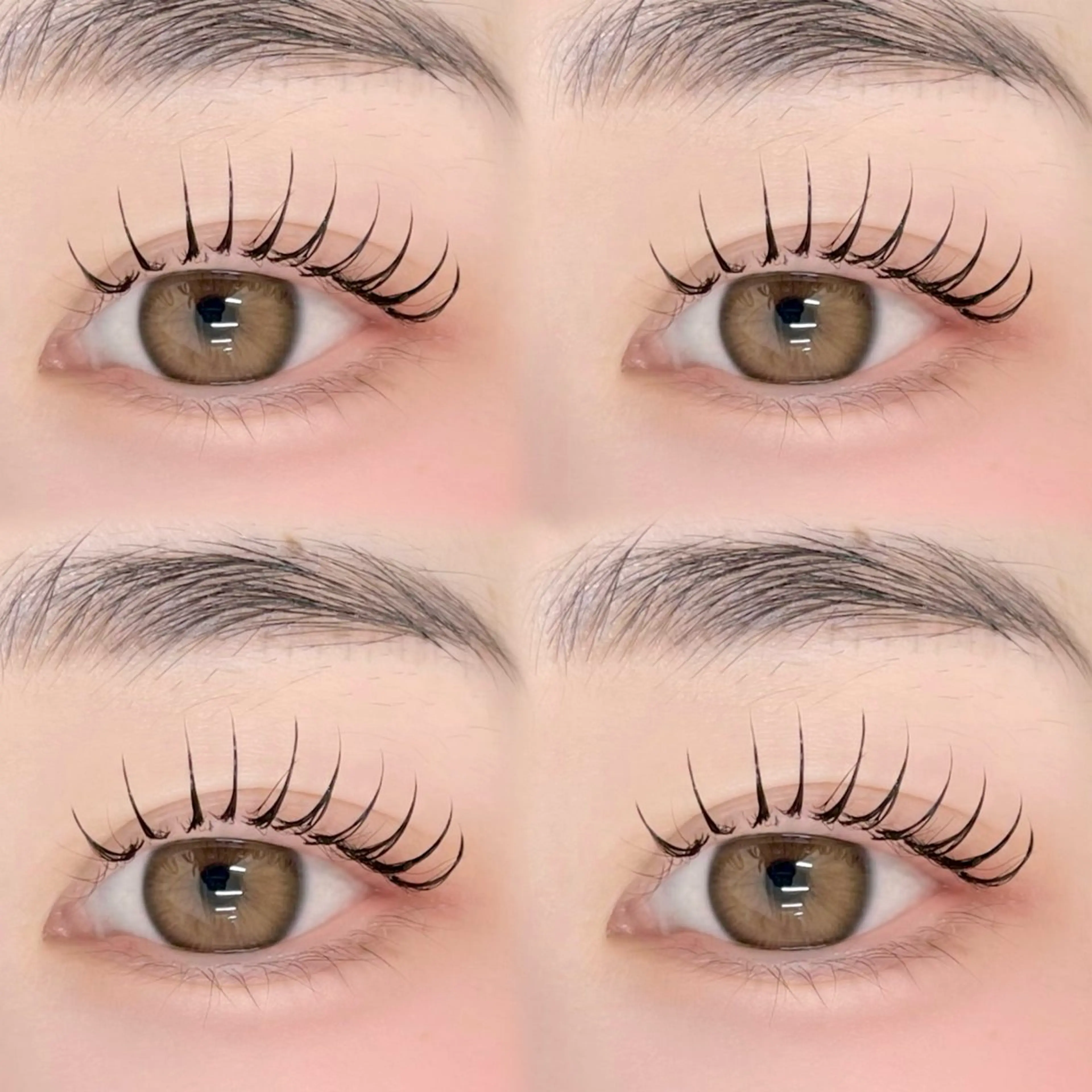 本日予約限定💞　フラットラッシュ100本の写真