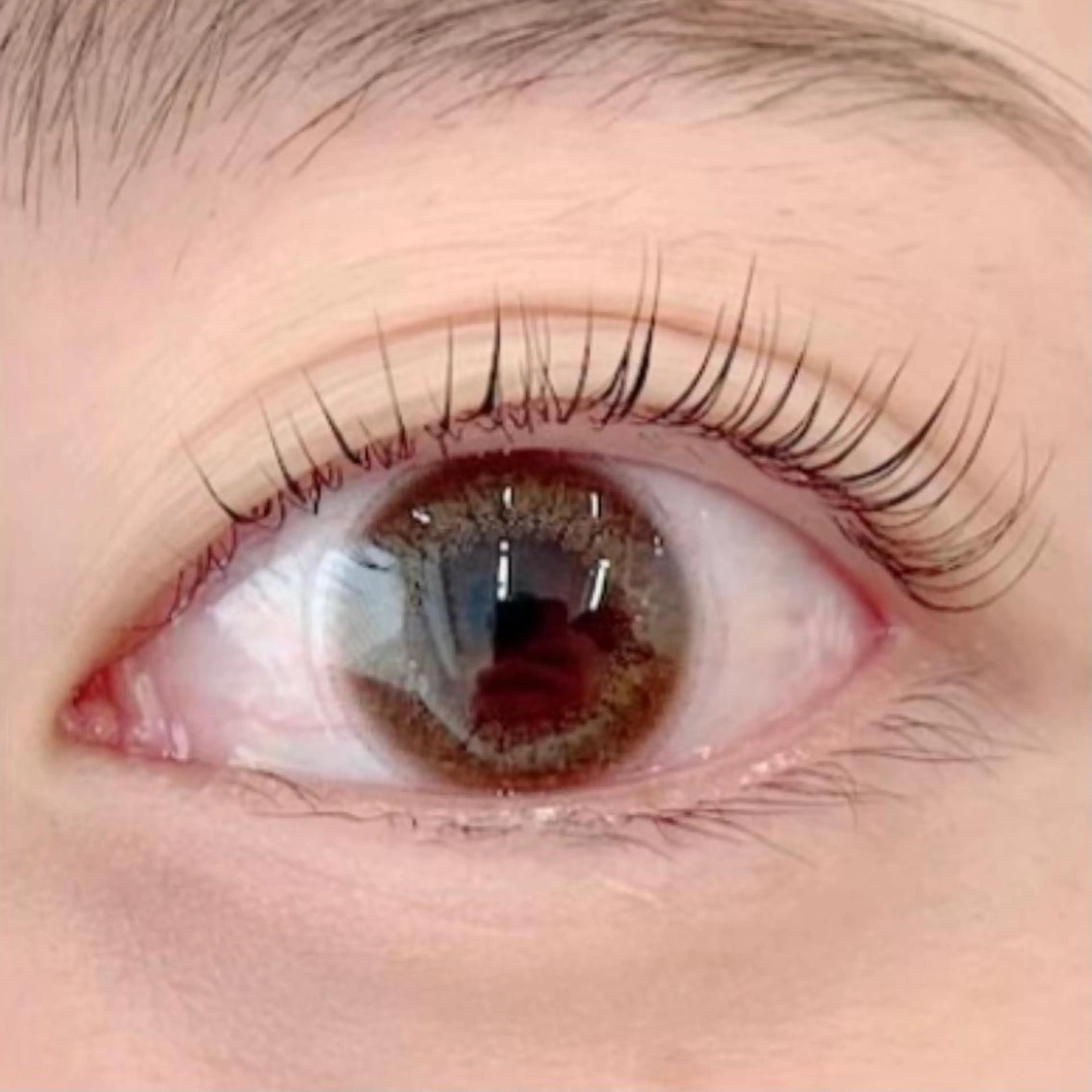 マツエク・マツパ パリジェンヌラッシュリフト BellFlower Aki（眉・まつげ）のマツエク・マツパデザイン