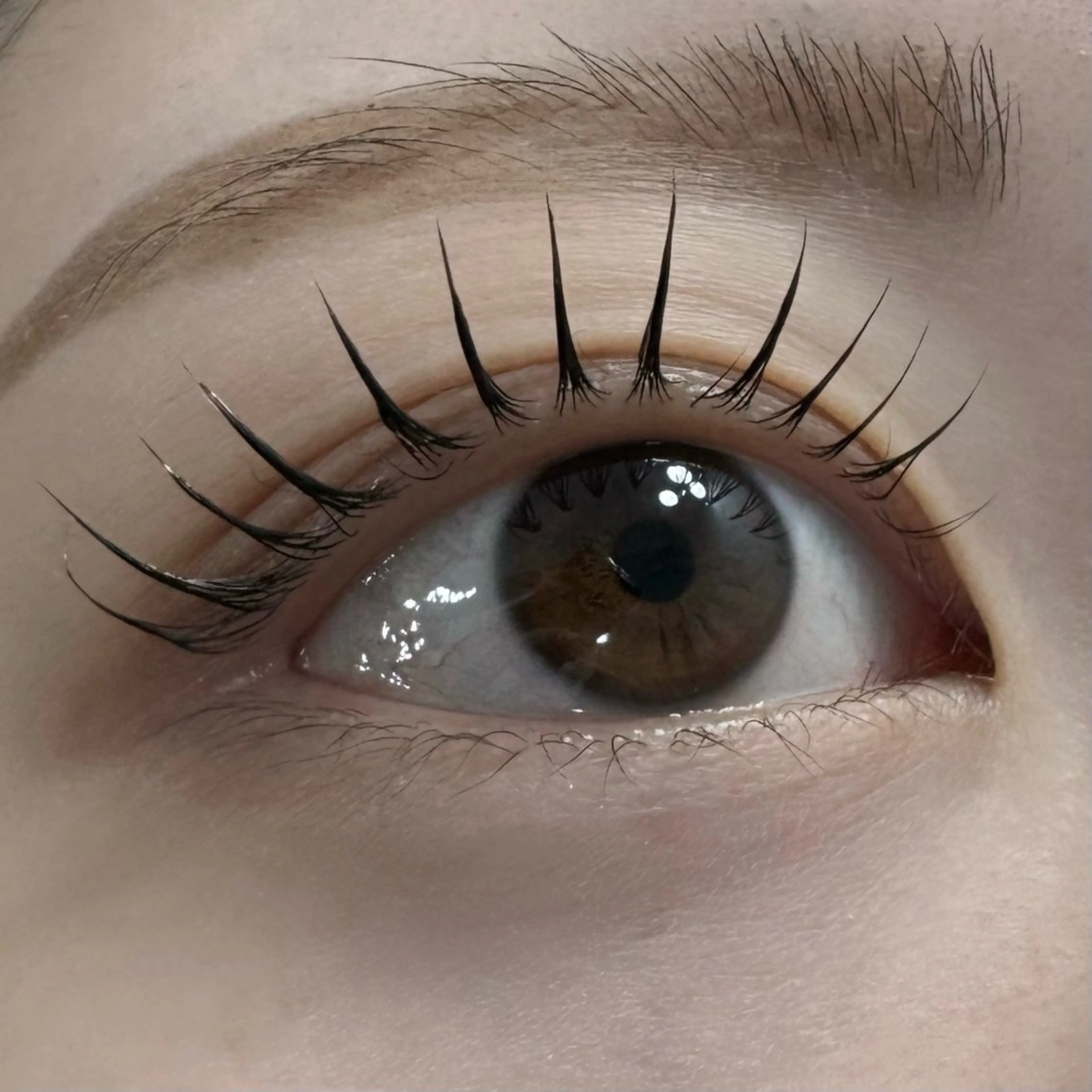 【まつげパーマ★立ち上げ×ストレート】ラシュリー¥3280の写真