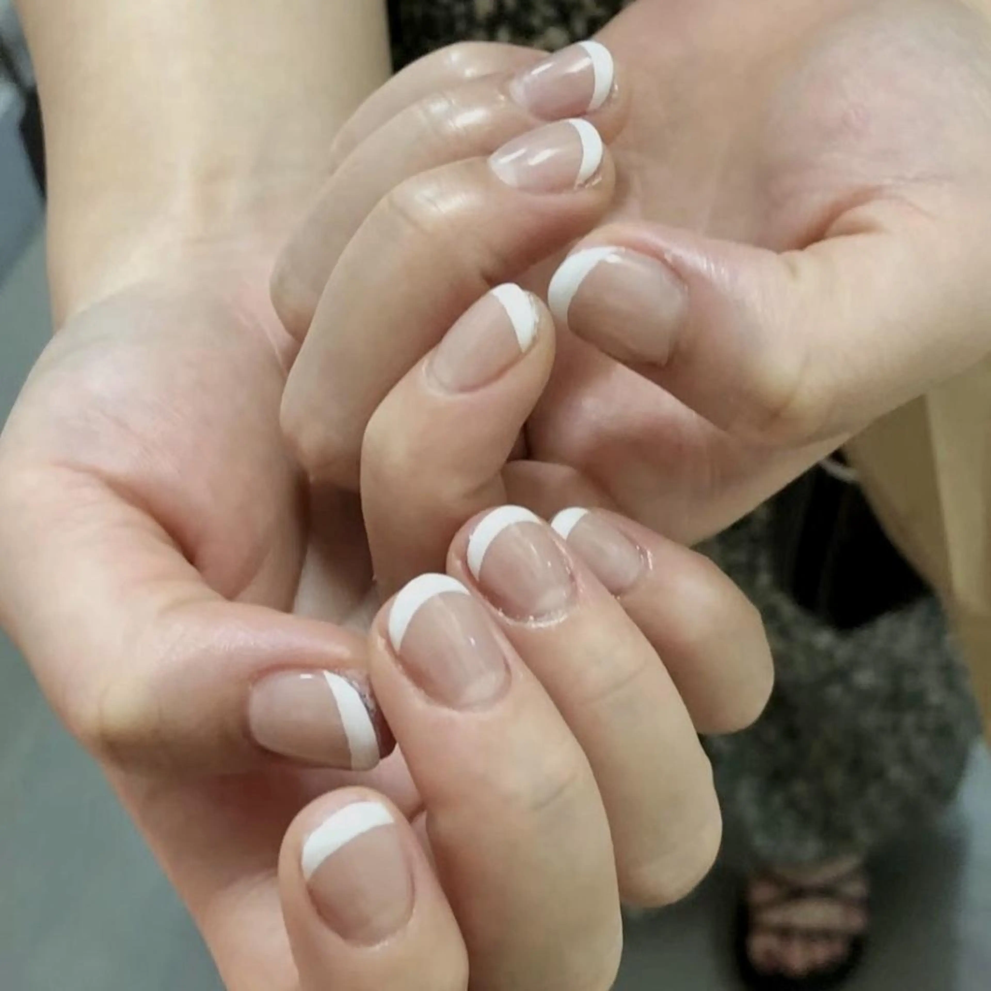 本日限定フレンチモデル！の写真