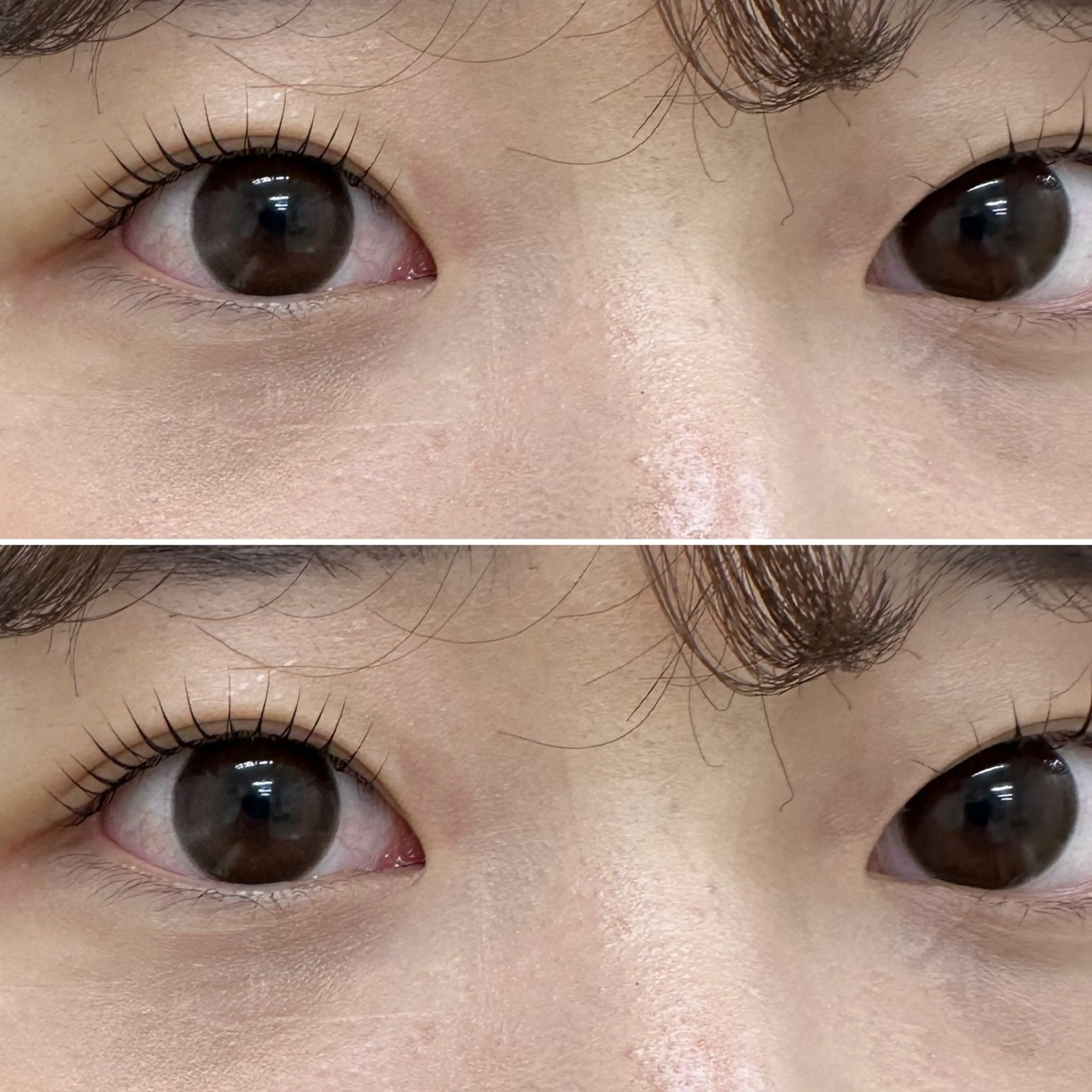 ❤️🔥学割U22❤️🔥パリジェンヌorまつパ アイシャプー付き★1.5ヶ月以内の来店で3700円の写真