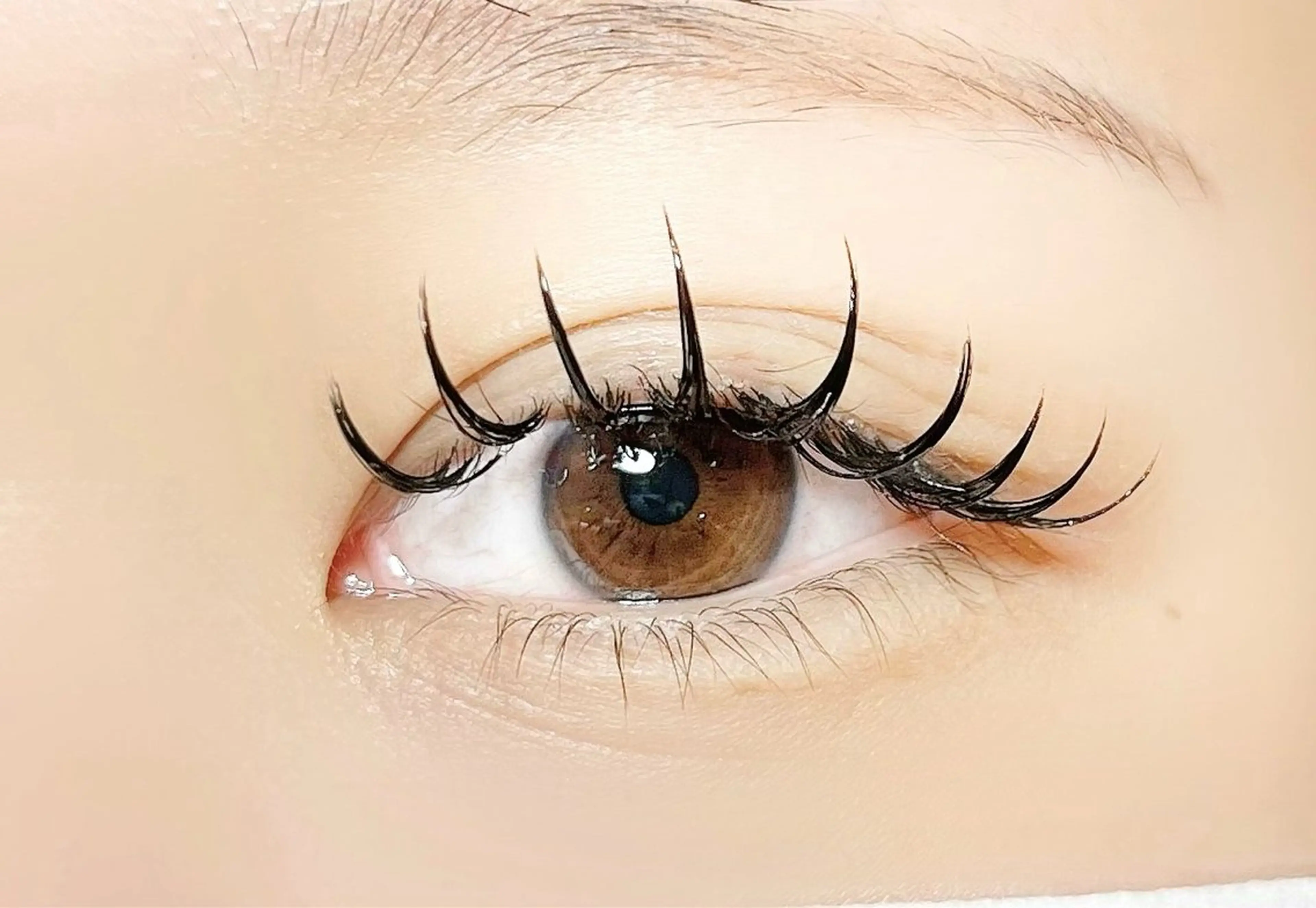 マツエク・マツパ 束感まつ毛 Dカール sola: neolive熊田のマツエク・マツパデザイン