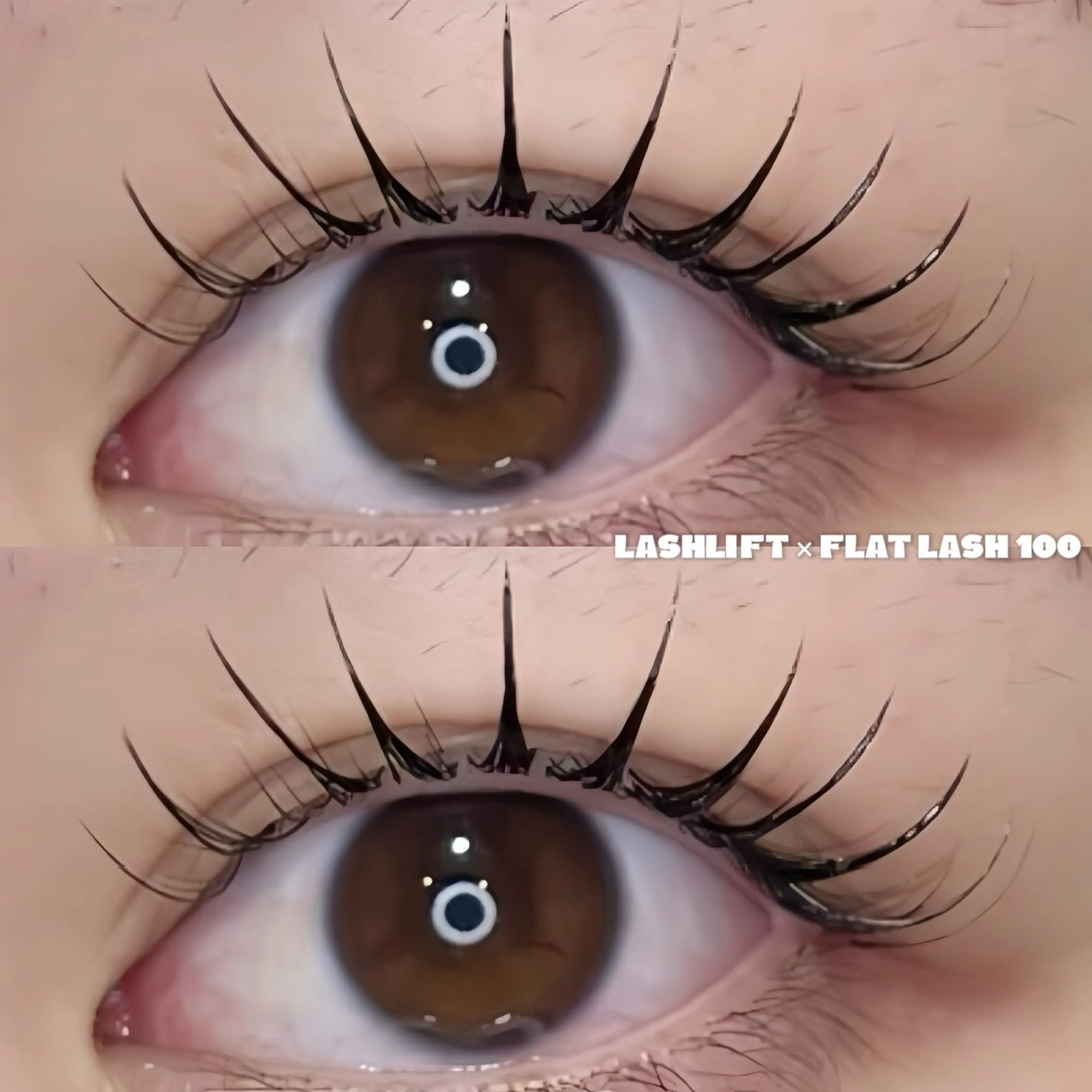 マツエク・マツパ マツエク 〜Lunéa〜 EYELASHのマツエク・マツパデザイン