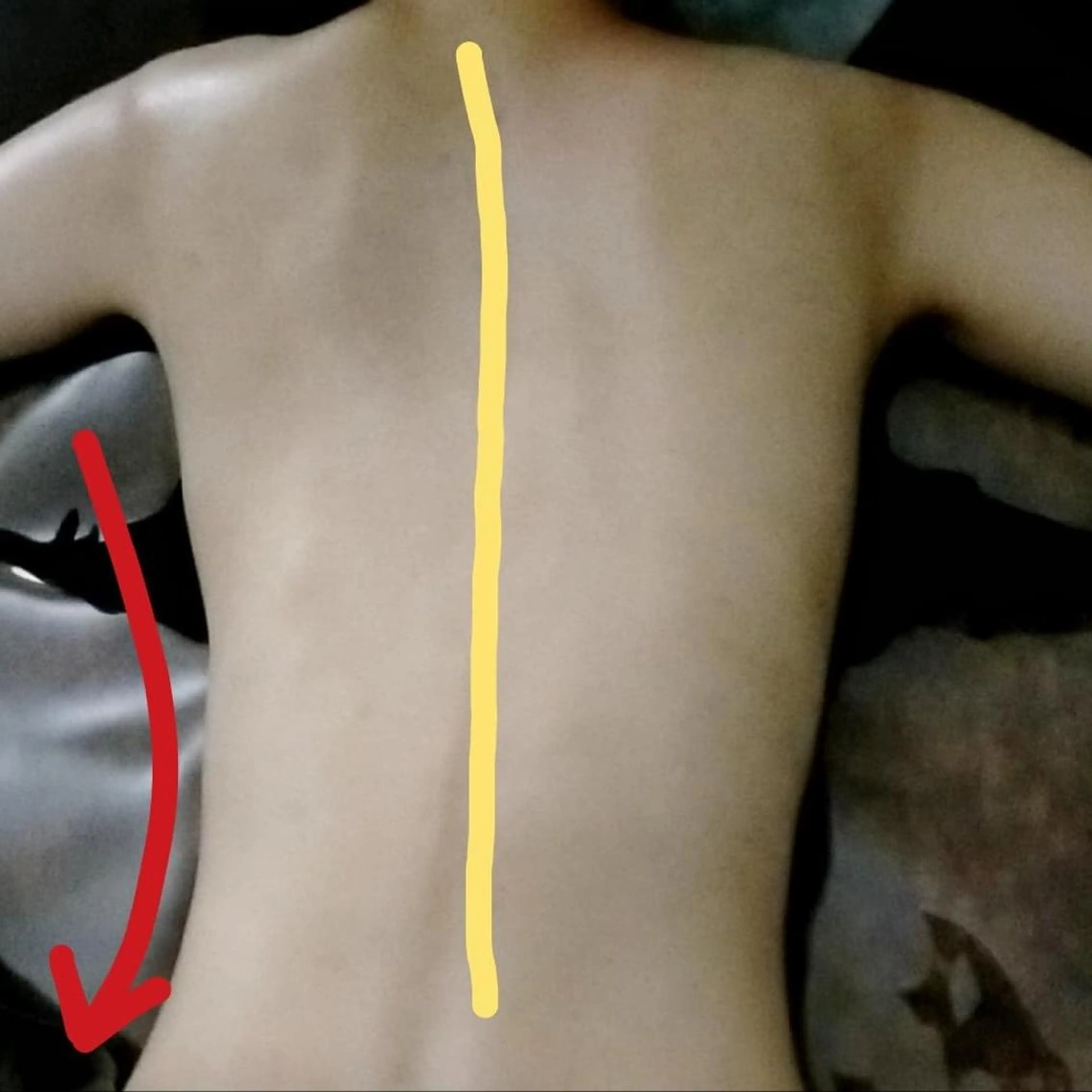 Alphaplus AYAMI のエステ・リラクイメージ