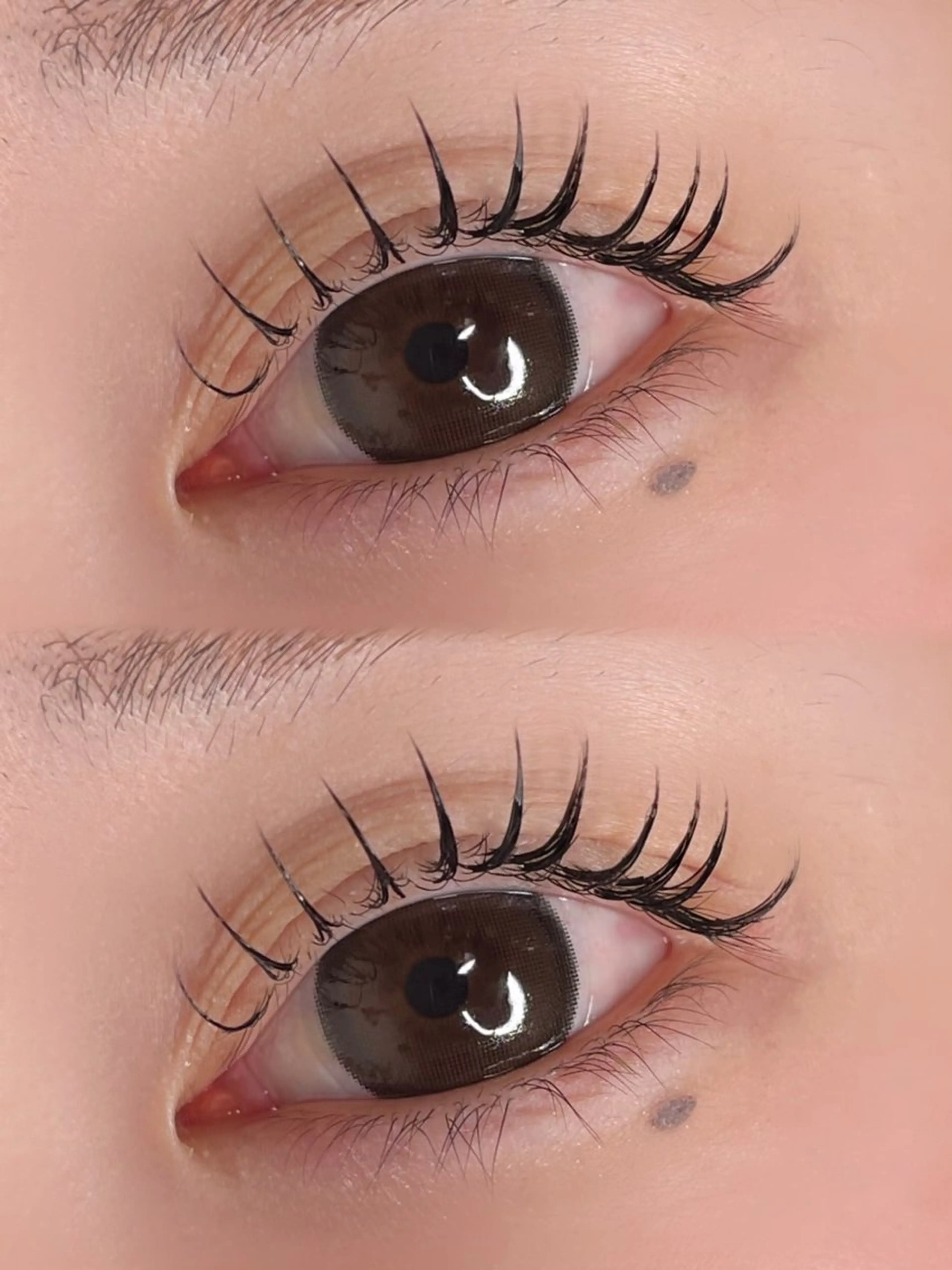 マツエク・マツパ ハロウ所属・ハロウ/ momoka🤍のマツエク・マツパデザイン