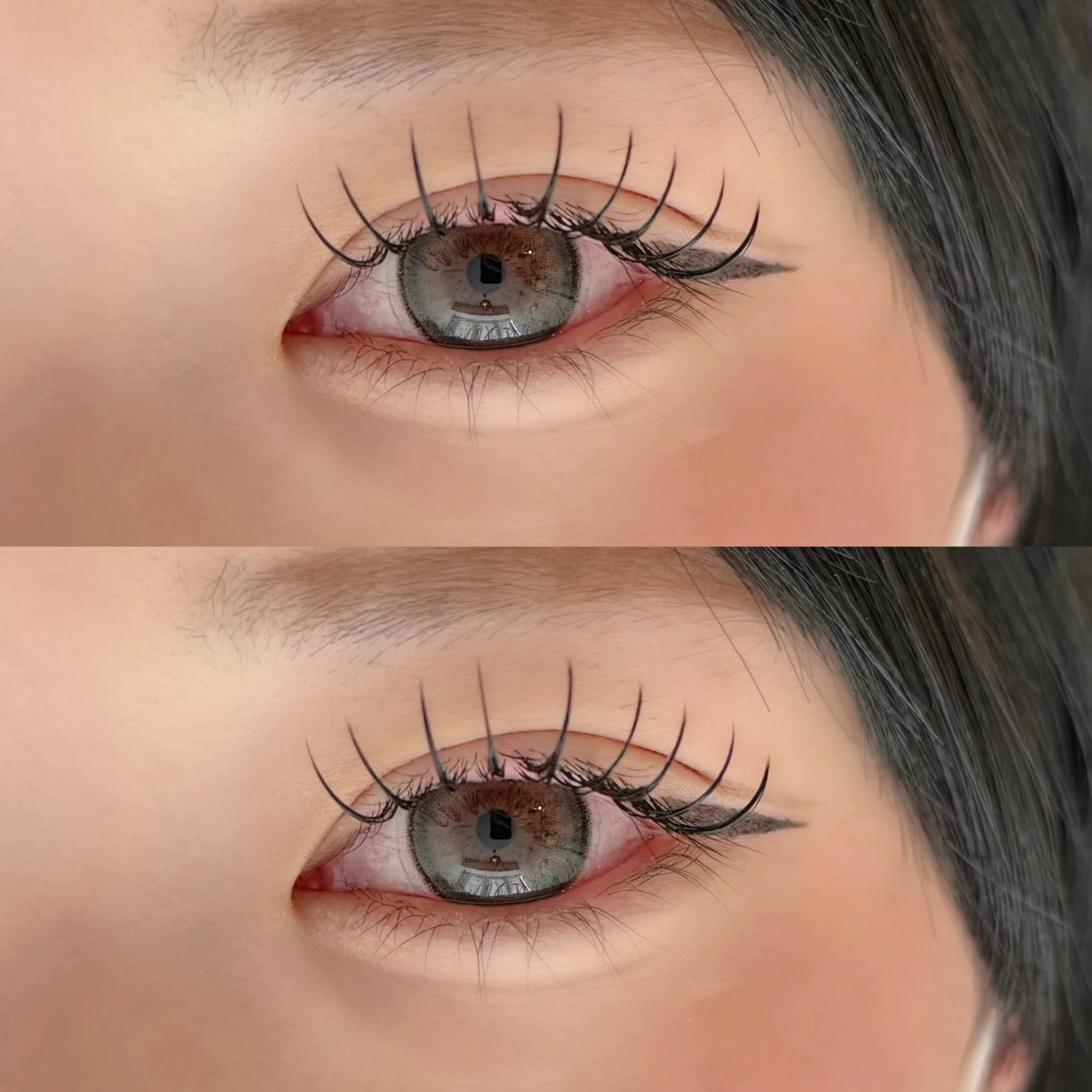 マツエク・マツパ フラットラッシュ マツエク 🐾ROAR🐾 HAZUKIのマツエク・マツパデザイン