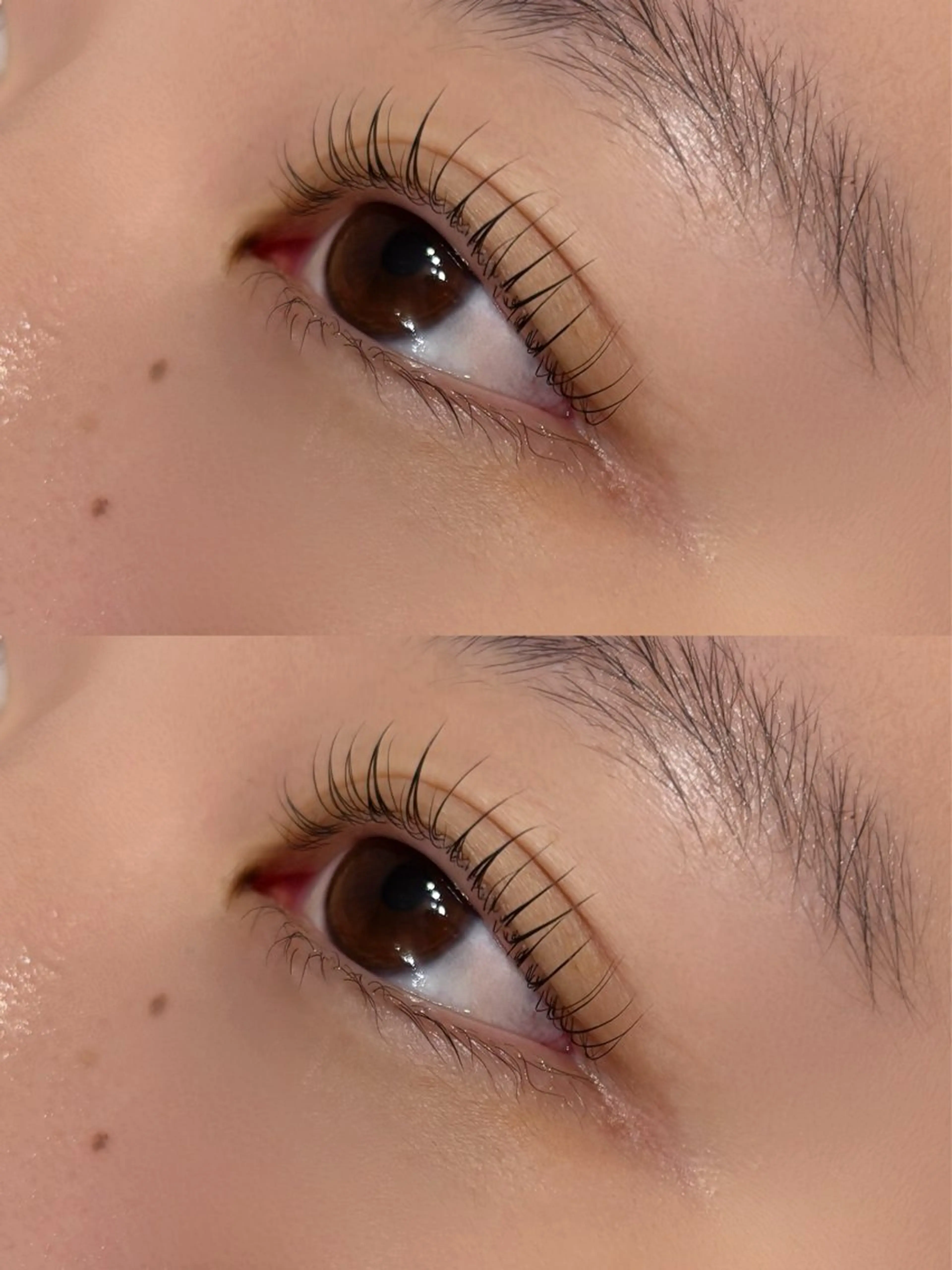 マツエク・マツパ Froom🪷 まりものマツエク・マツパデザイン