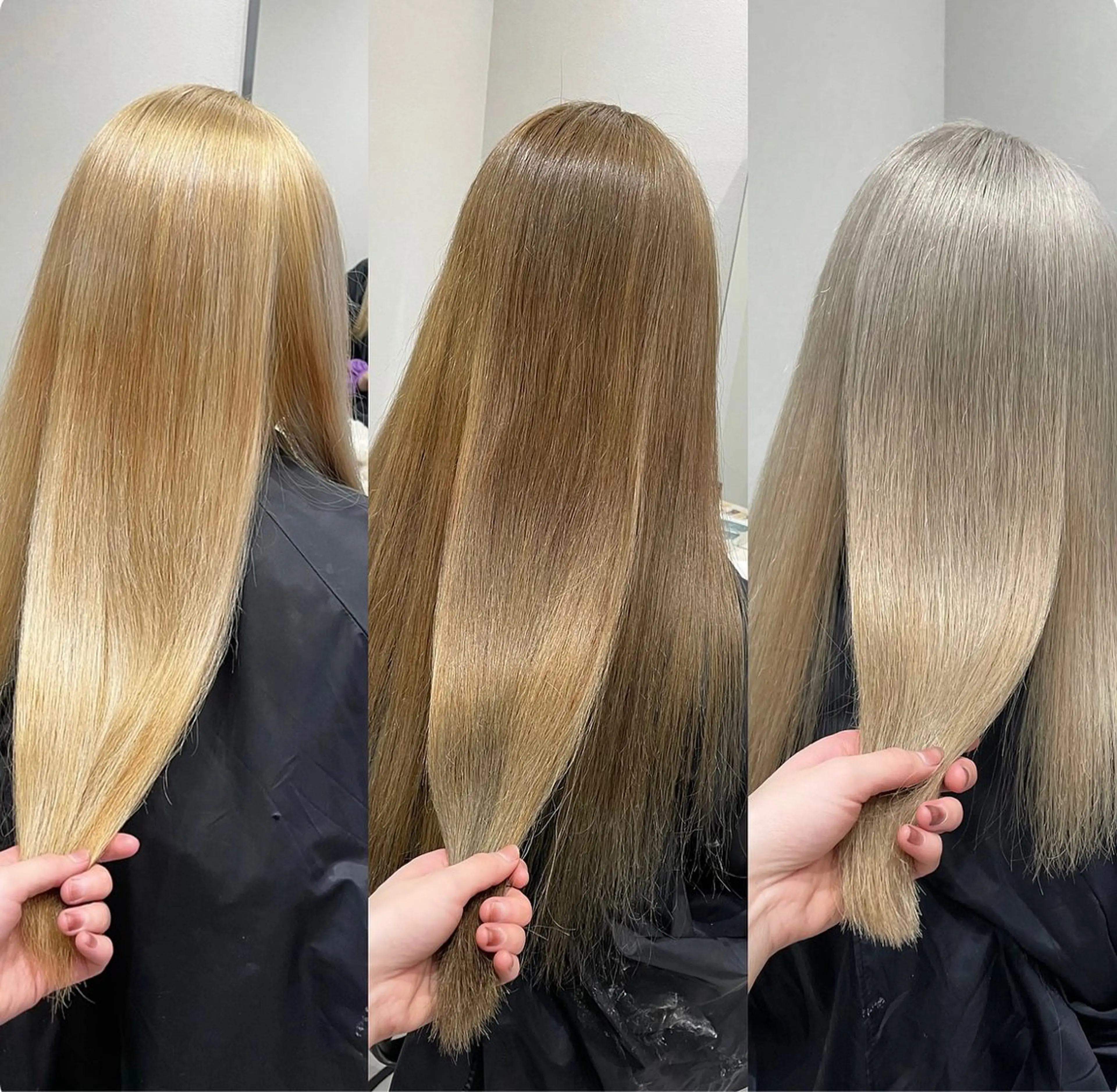 minimo 🌈　人気No. 1✨柔らかい透明感🌸ダブルカラー🌟クイックTR付き💜の写真