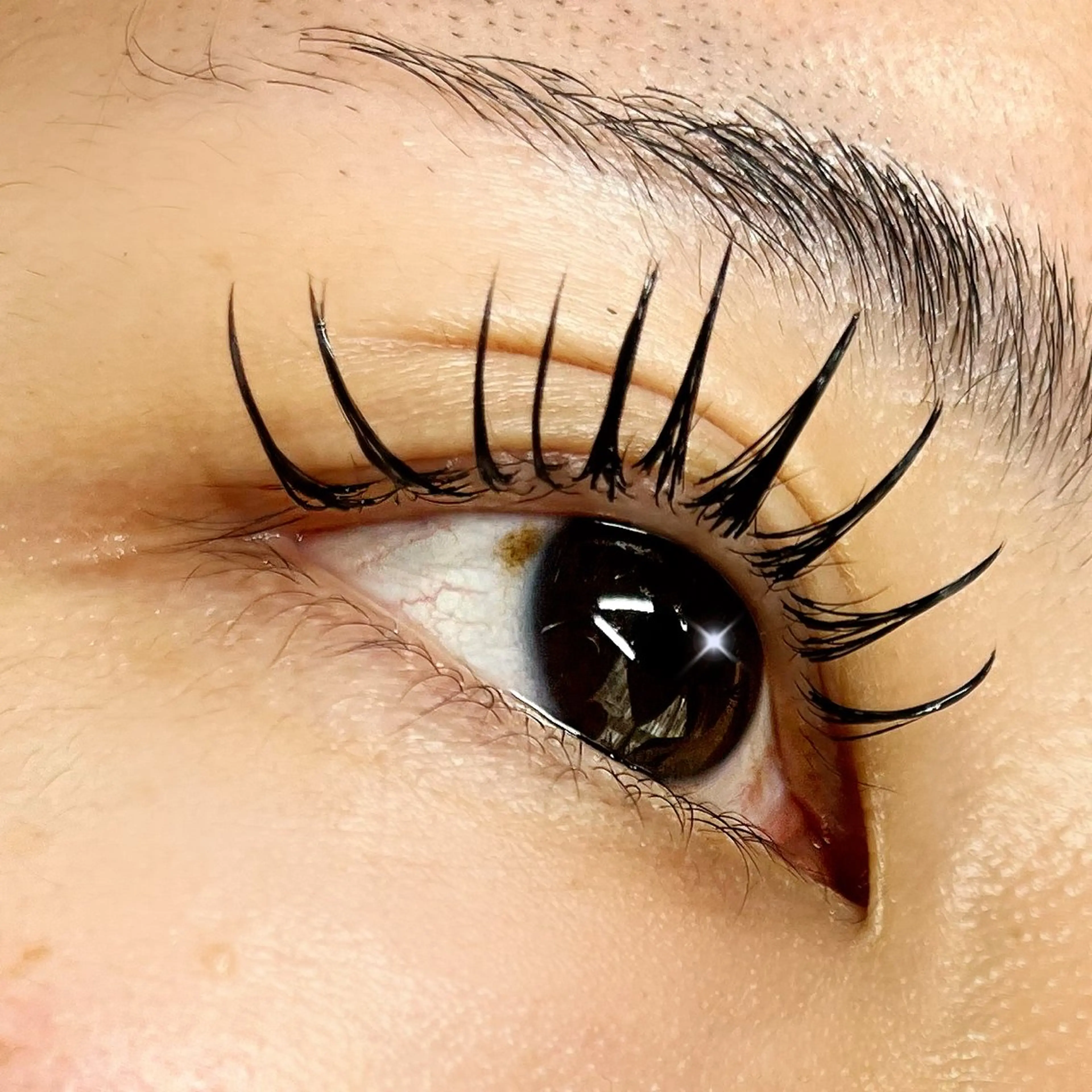 マツエク・マツパ フラットラッシュ lrie ／  moeのマツエク・マツパデザイン