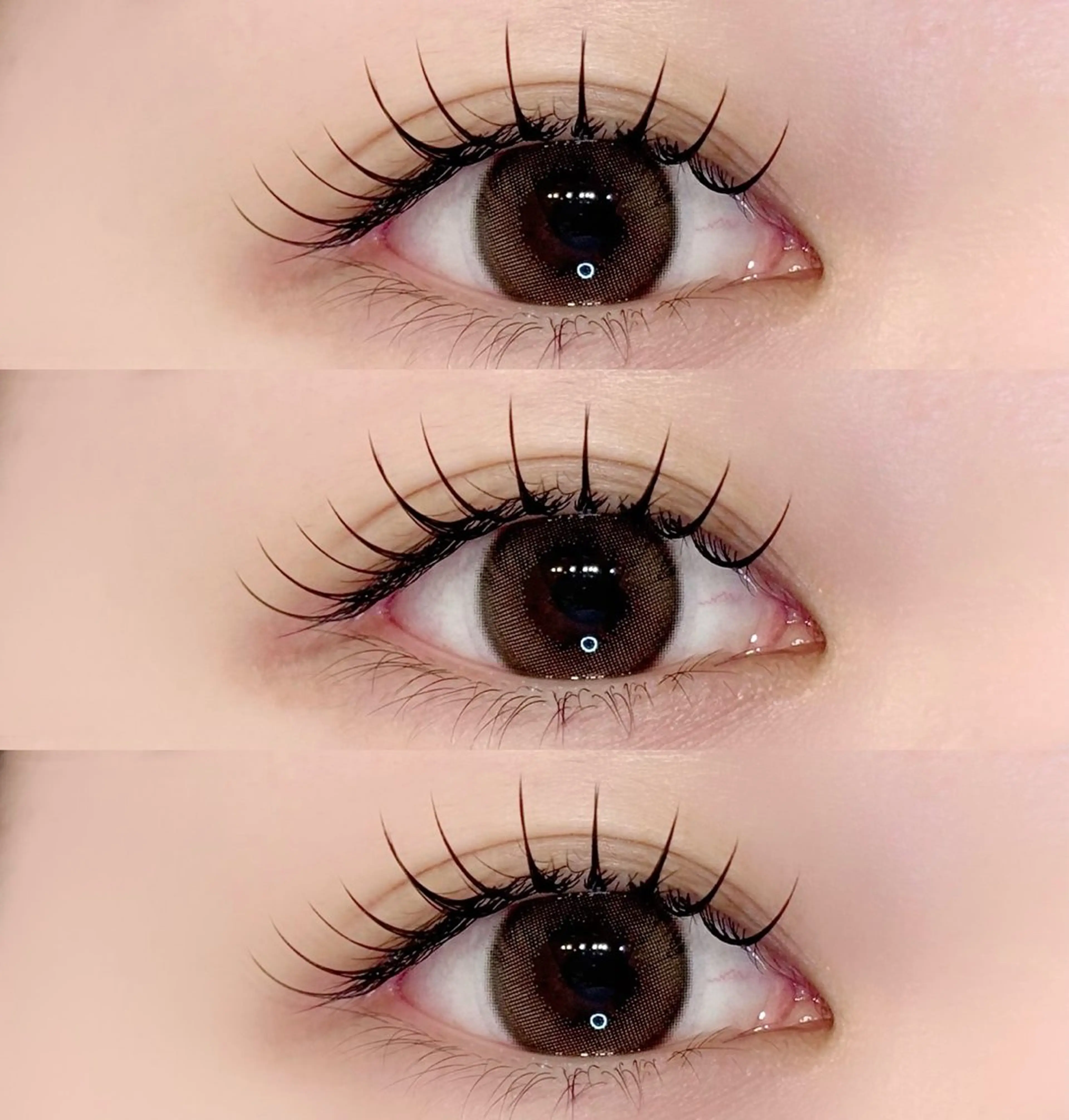 フラットラッシュ​〜​100本の写真