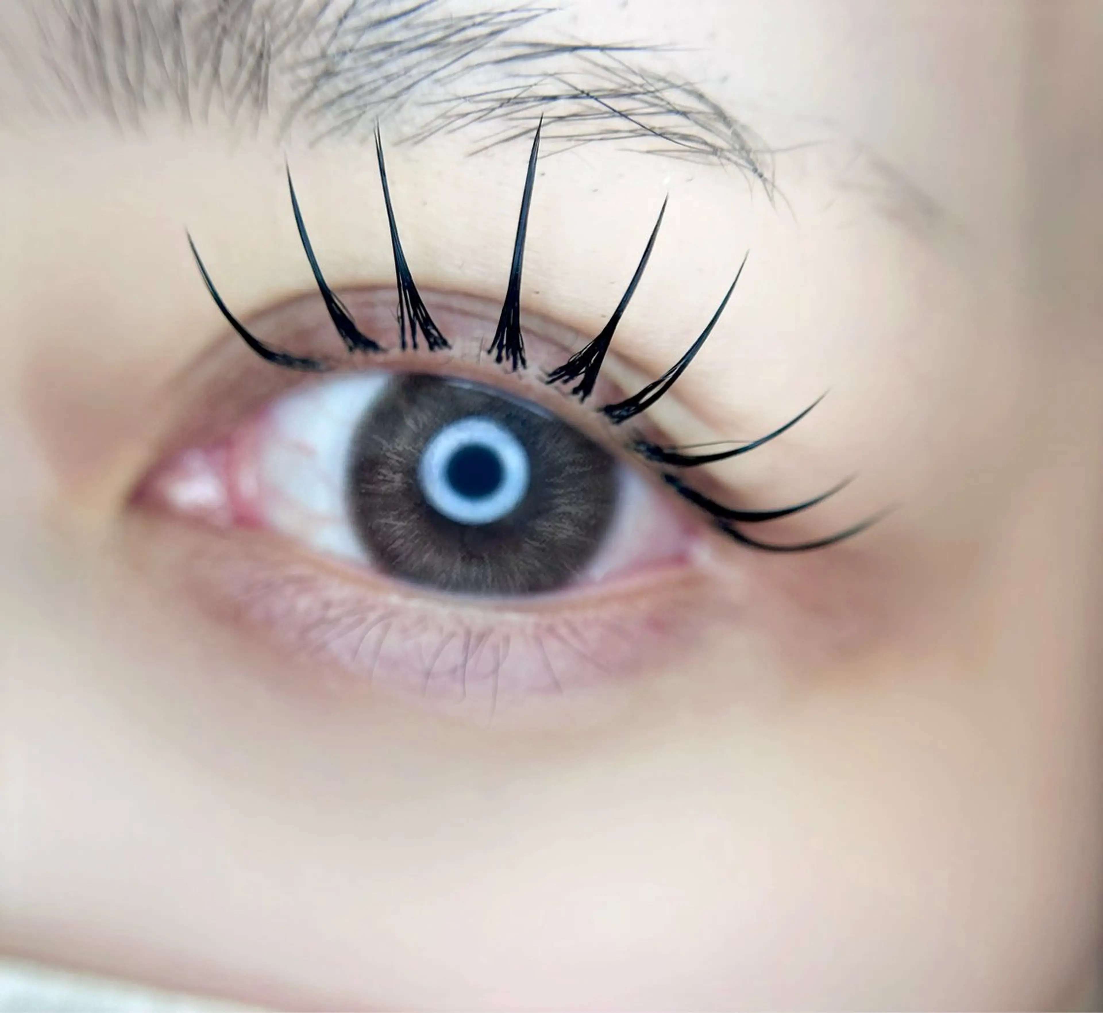 マツエク・マツパ eyelist. mizuki🐈‍⬛の眉毛・アイブロウイメージ