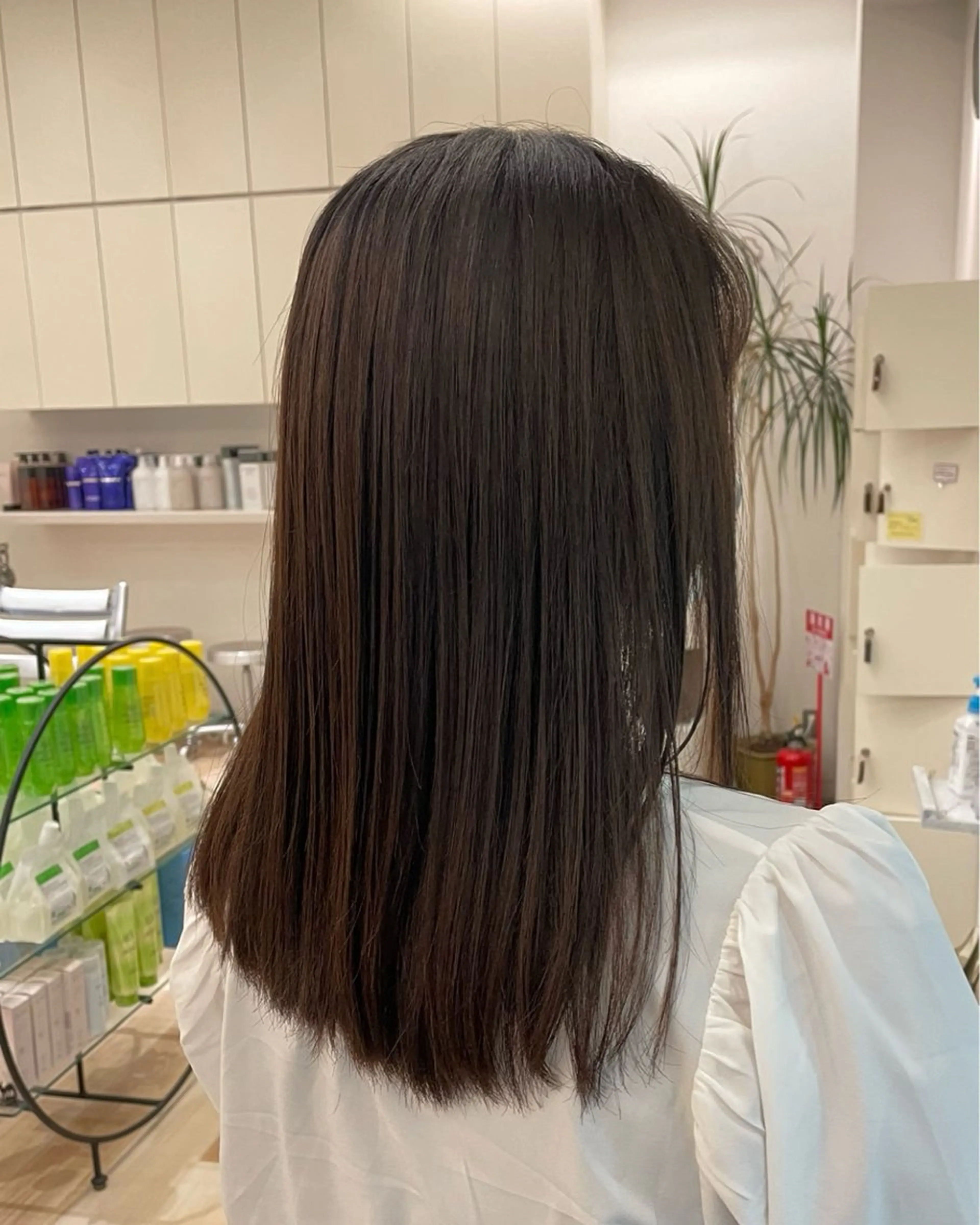 ミディアム カラー 成海 ありさのヘアスタイル