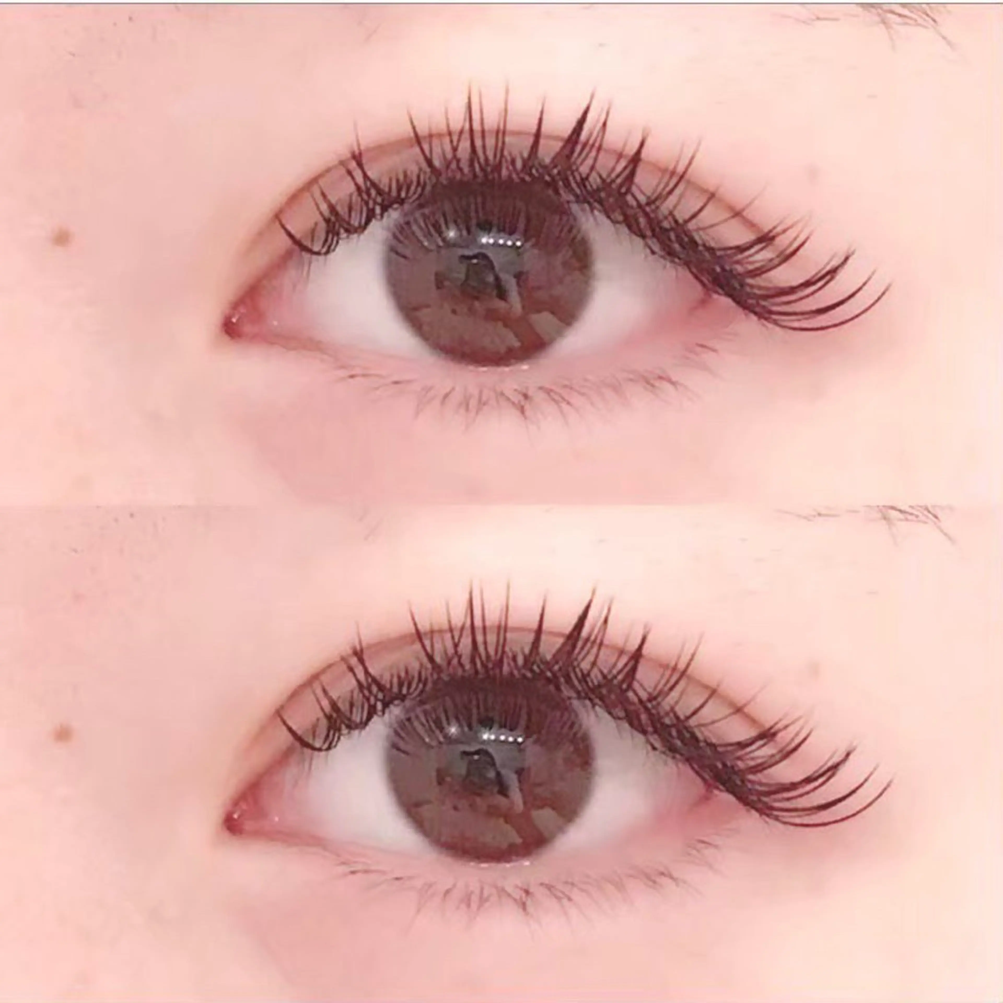 マツエク・マツパ eyelash salon Raffelia 町田店所属・アイラッシュサロン Raffeliaのマツエク・マツパデザイン