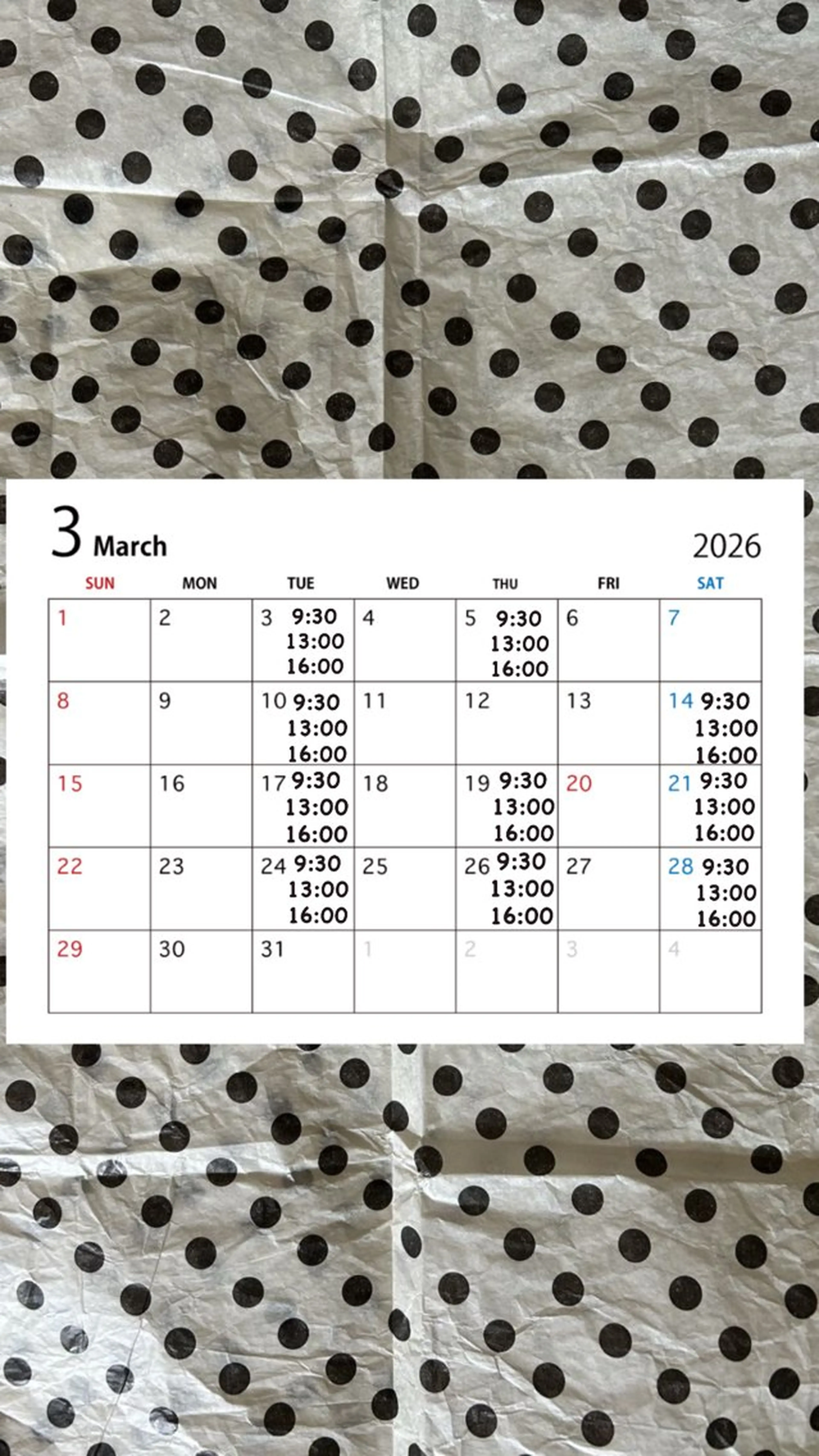 ネイル suui.所属・suui. mizukiのネイルデザイン