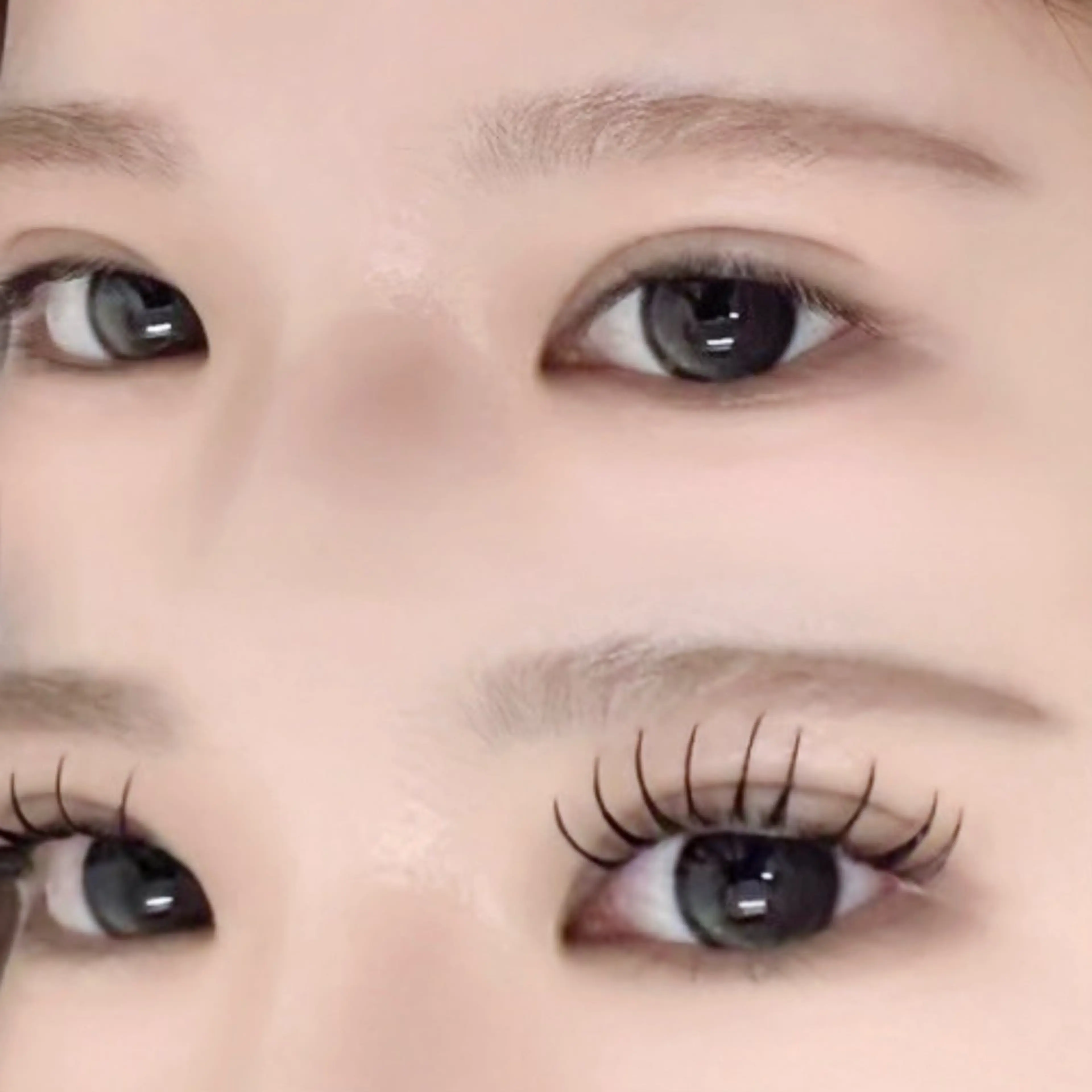 マツエク・マツパ 束感まつ毛 Dカール フラットラッシュ マツエク Jewel‪新宿 eye/misatoのマツエク・マツパデザイン