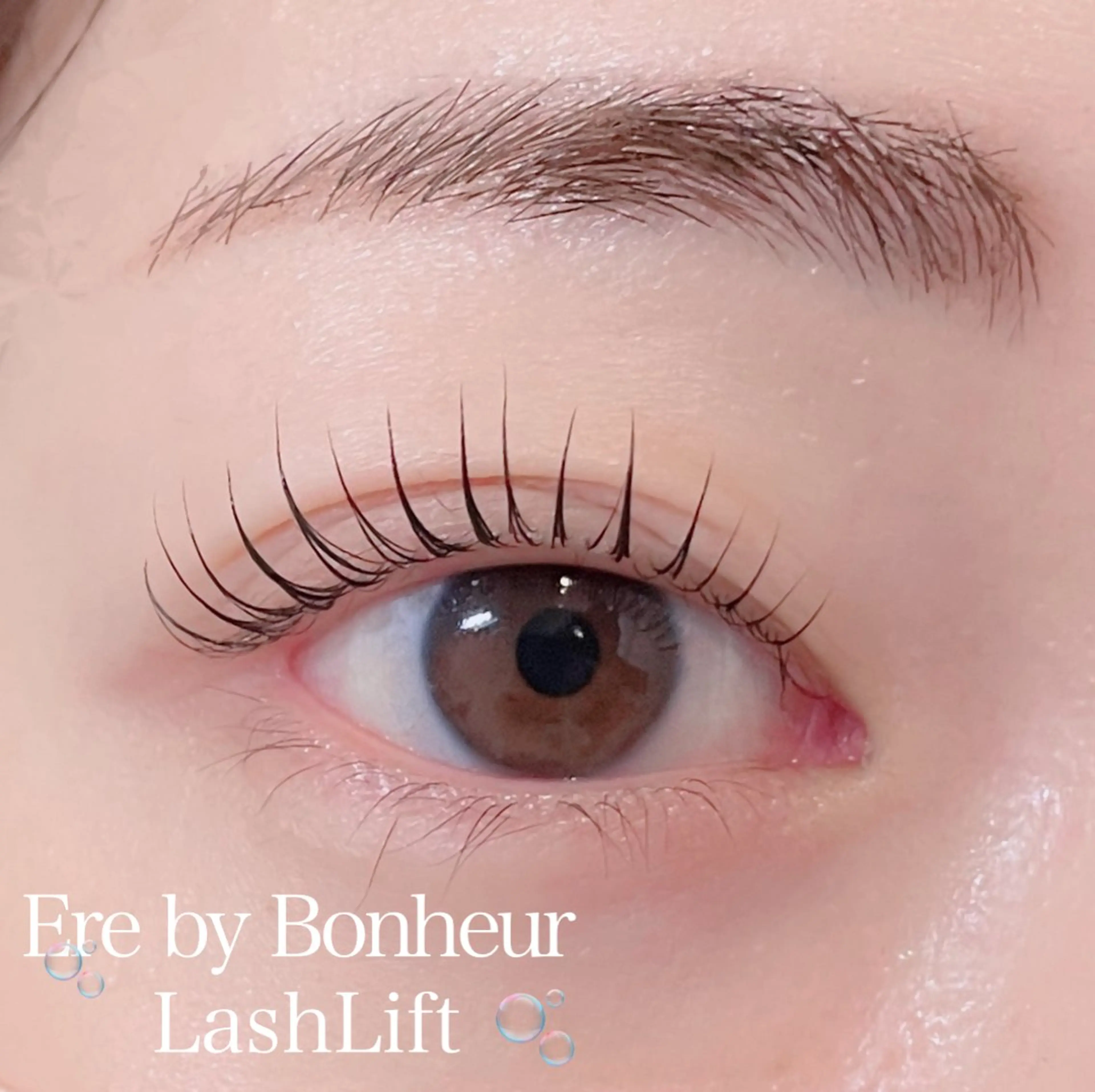 【U25限定】アイブロウワックス+まつ毛パーマの写真